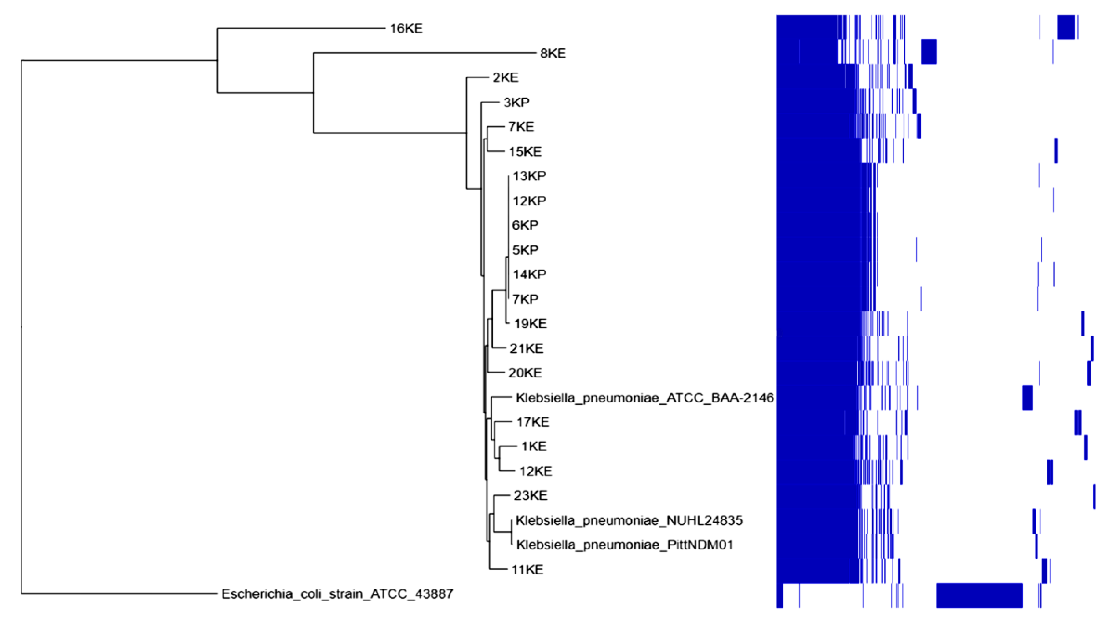 Pharmaceuticals 15 01011 g006