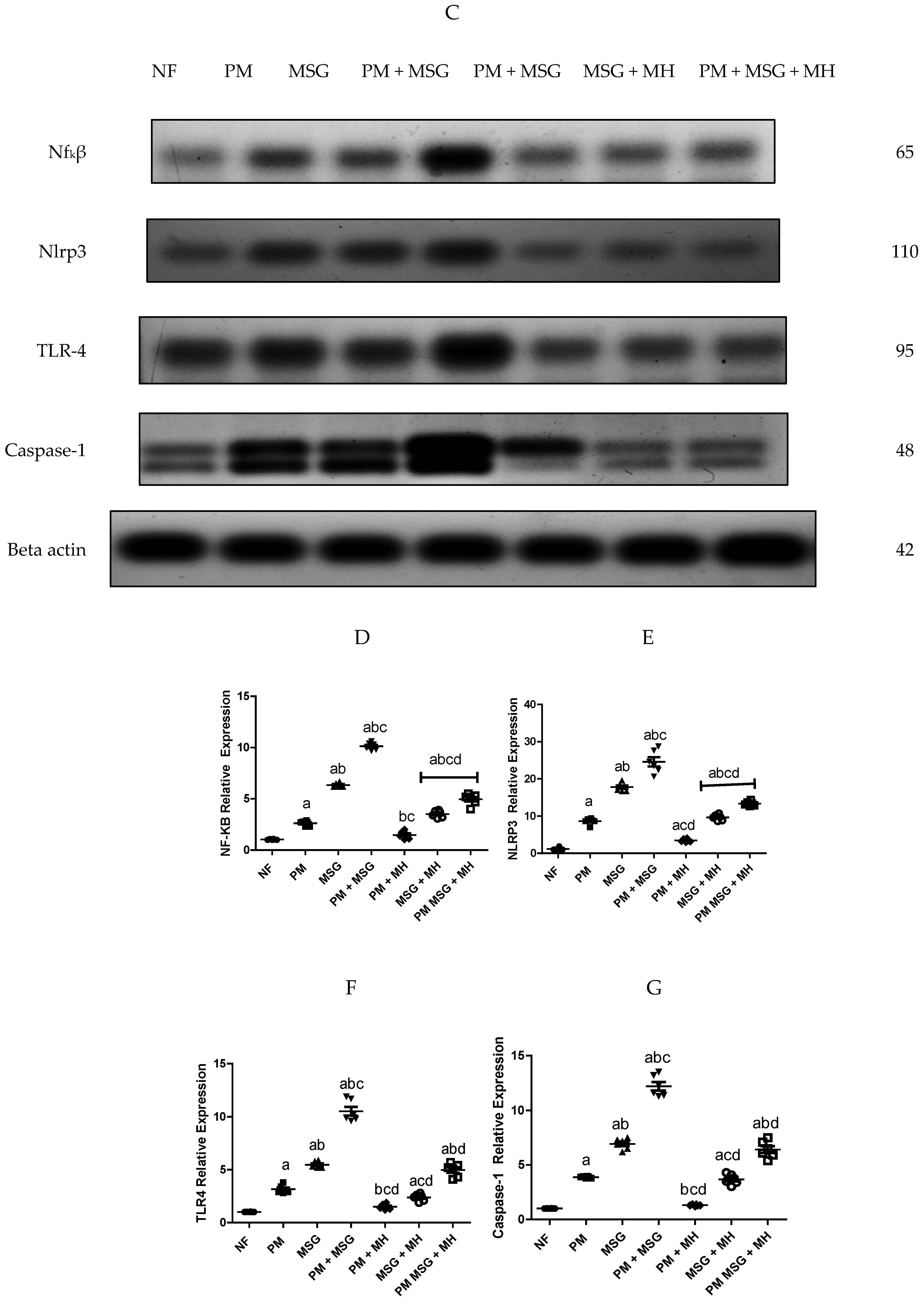 Pharmaceuticals 15 01012 g005b Pharmaceuticals 15 01012 g005b