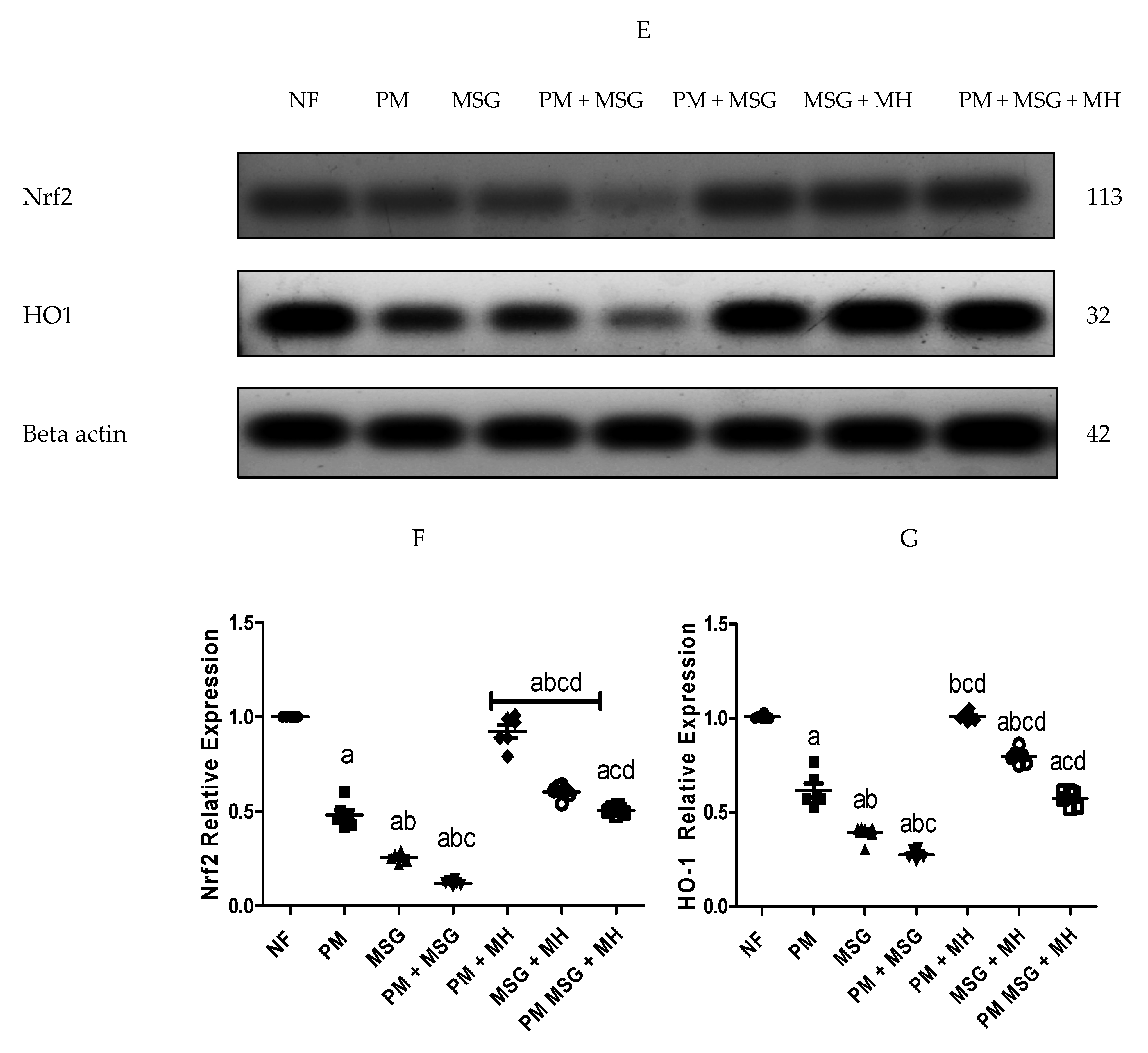 Pharmaceuticals 15 01012 g007b Pharmaceuticals 15 01012 g007b