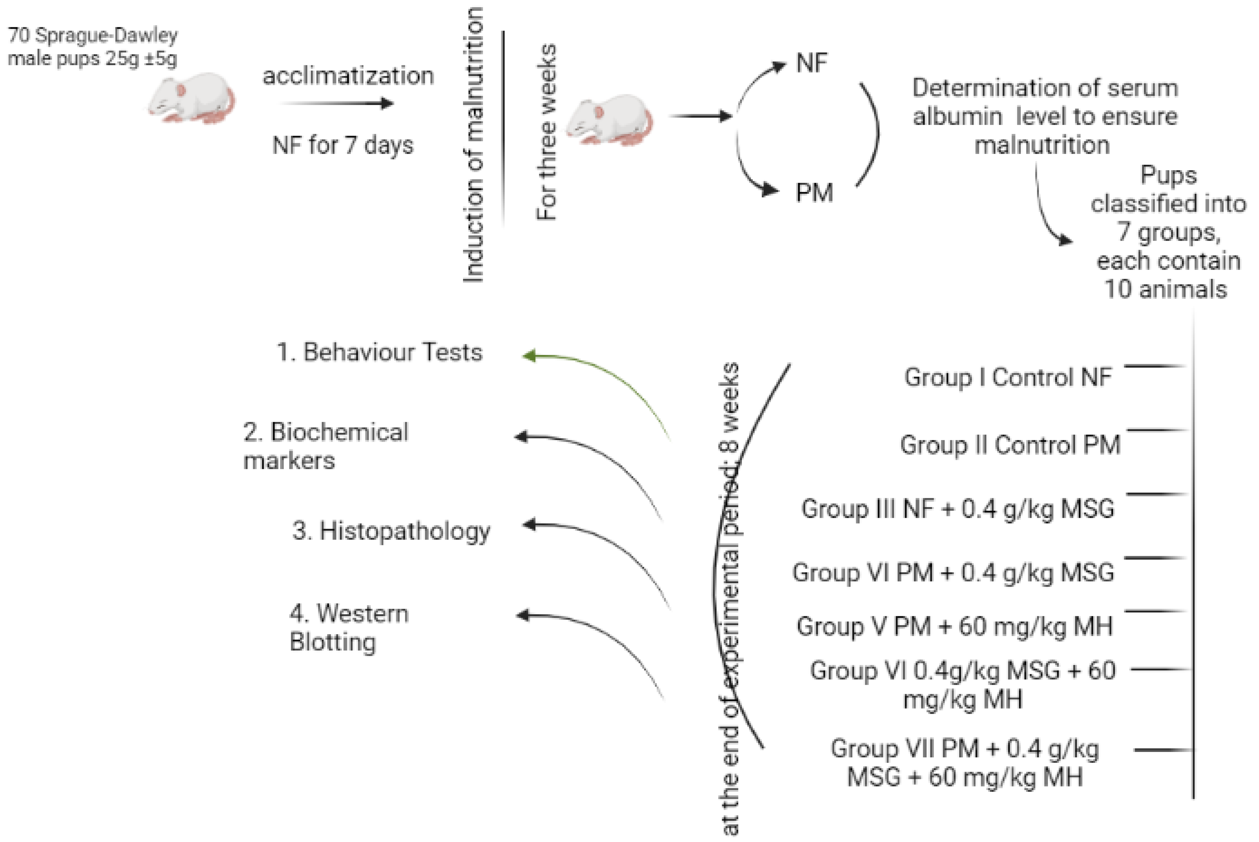 Pharmaceuticals 15 01012 g014 Pharmaceuticals 15 01012 g014