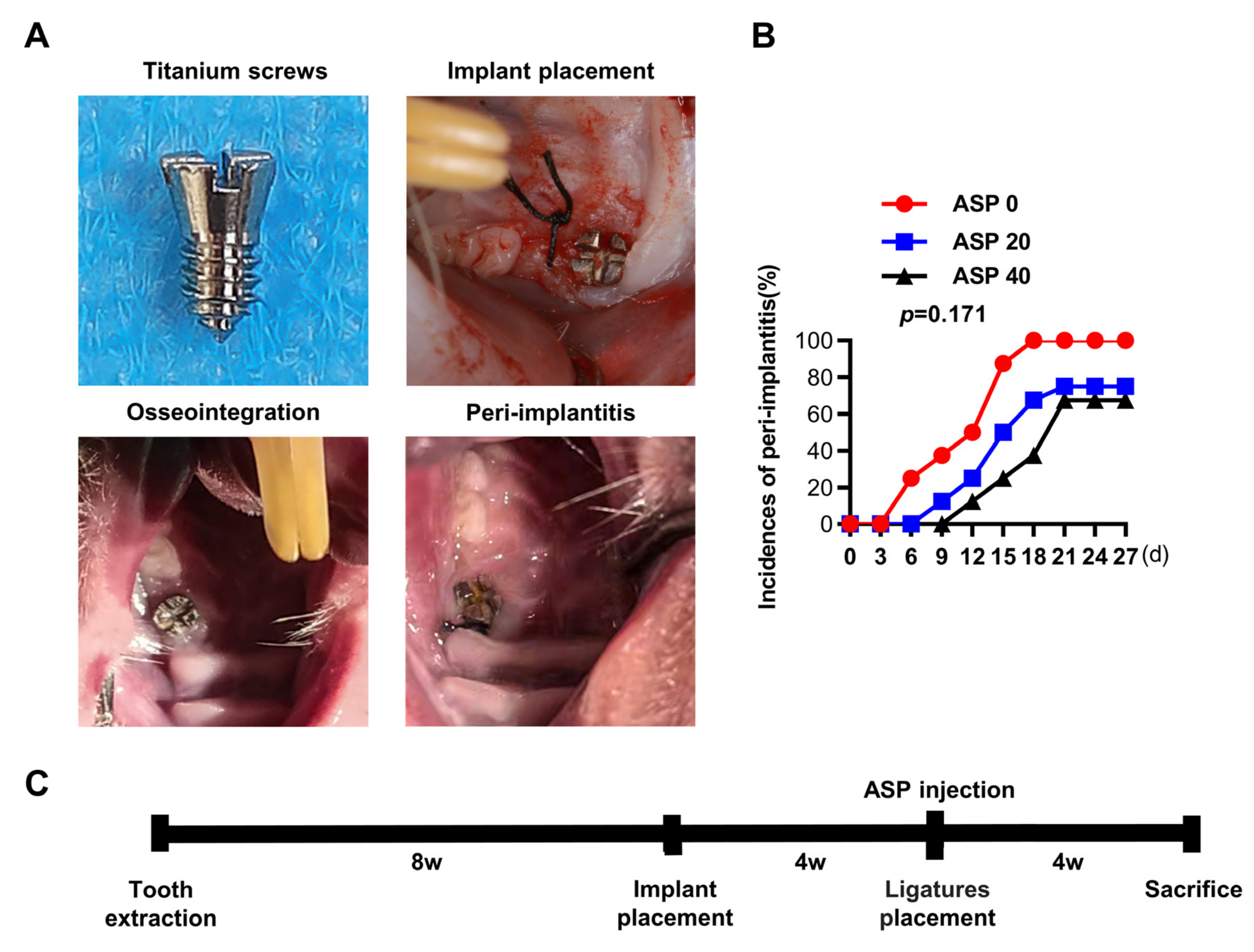 Pharmaceuticals 15 01027 g001