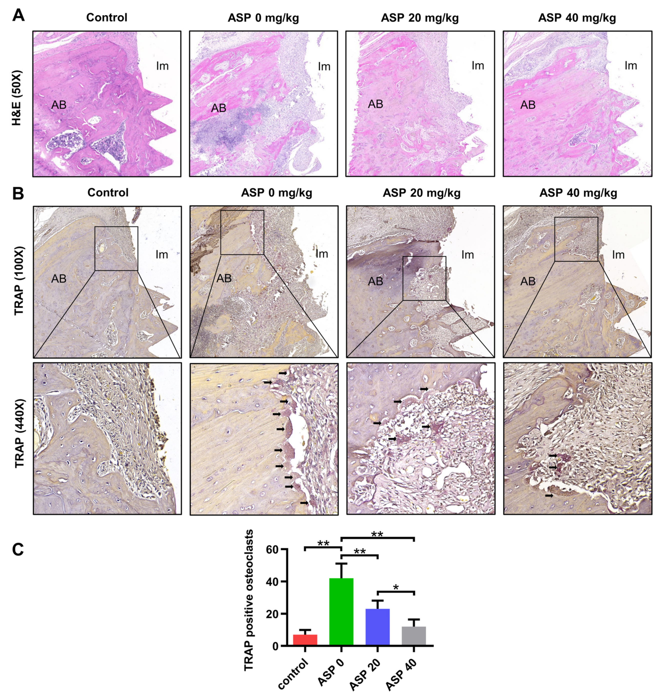 Pharmaceuticals 15 01027 g003