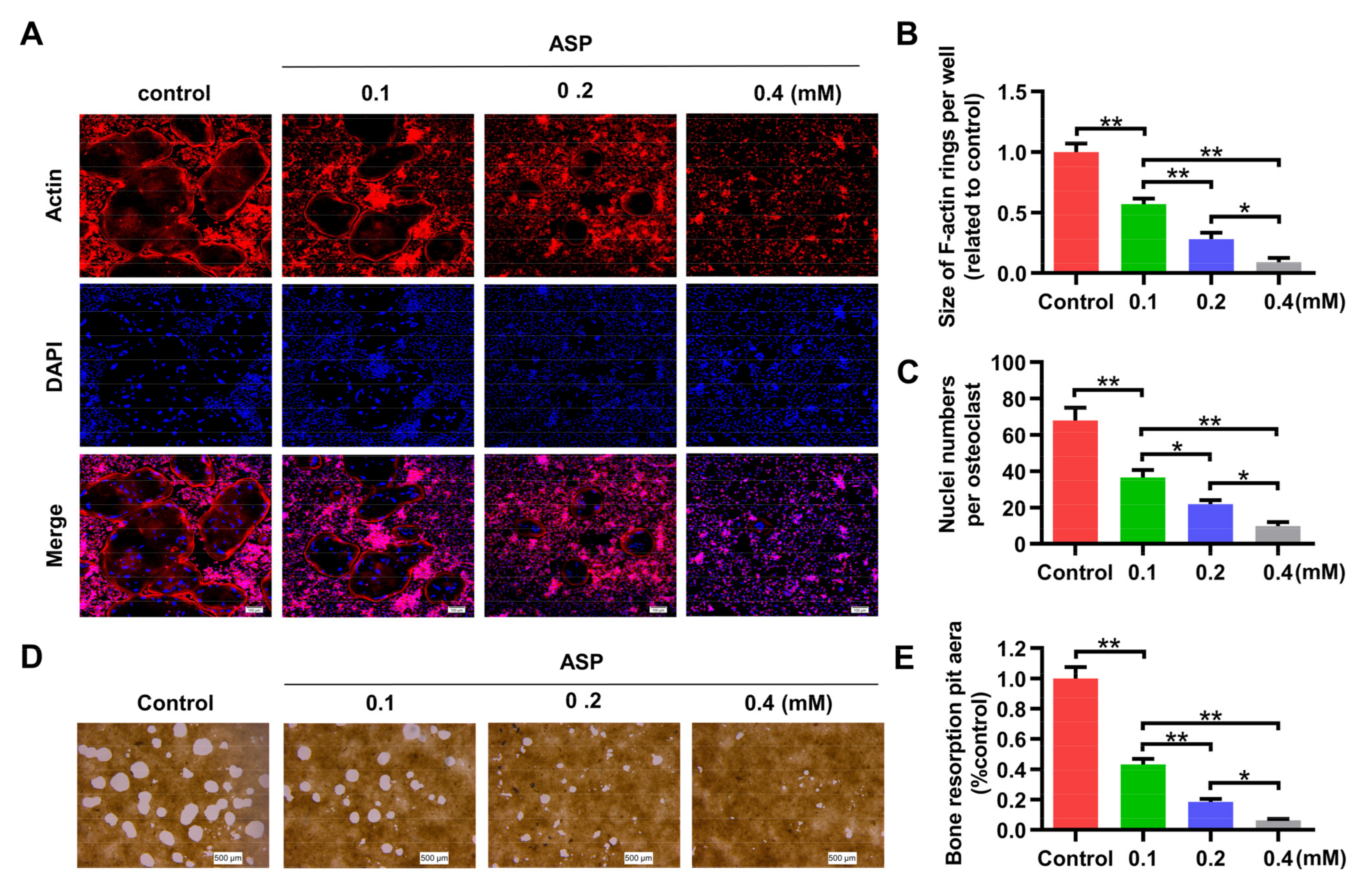 Pharmaceuticals 15 01027 g006