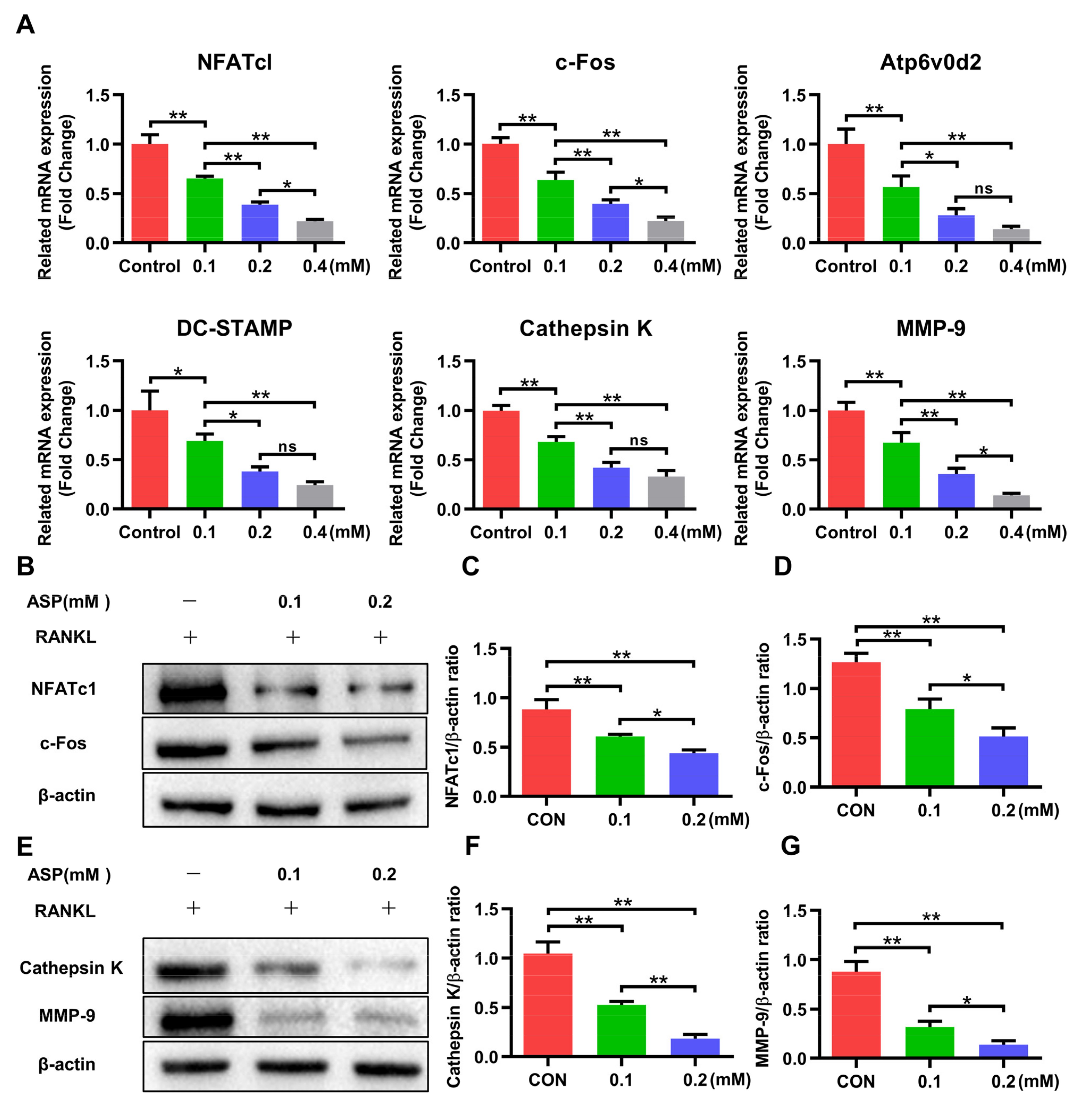 Pharmaceuticals 15 01027 g007