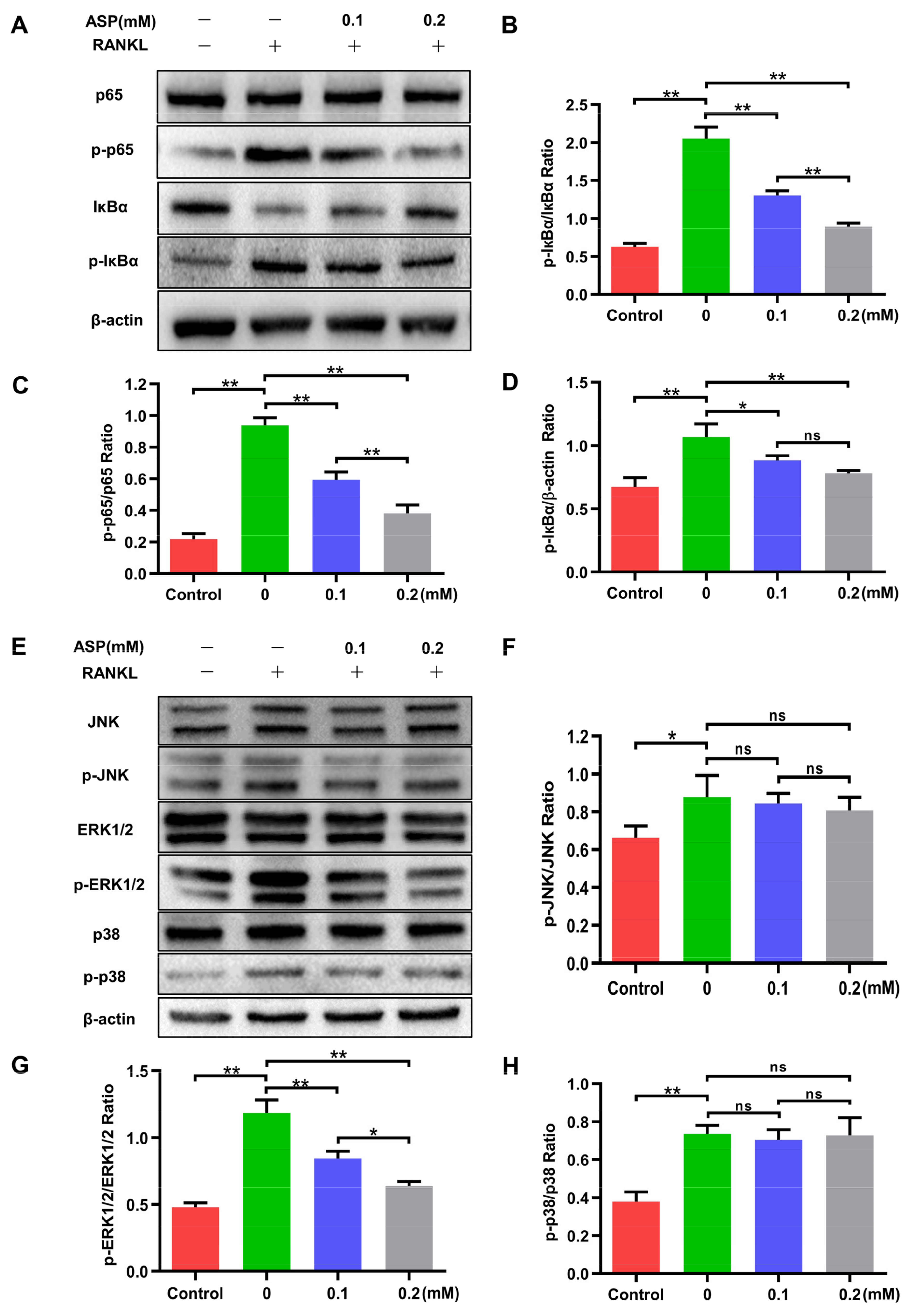 Pharmaceuticals 15 01027 g008