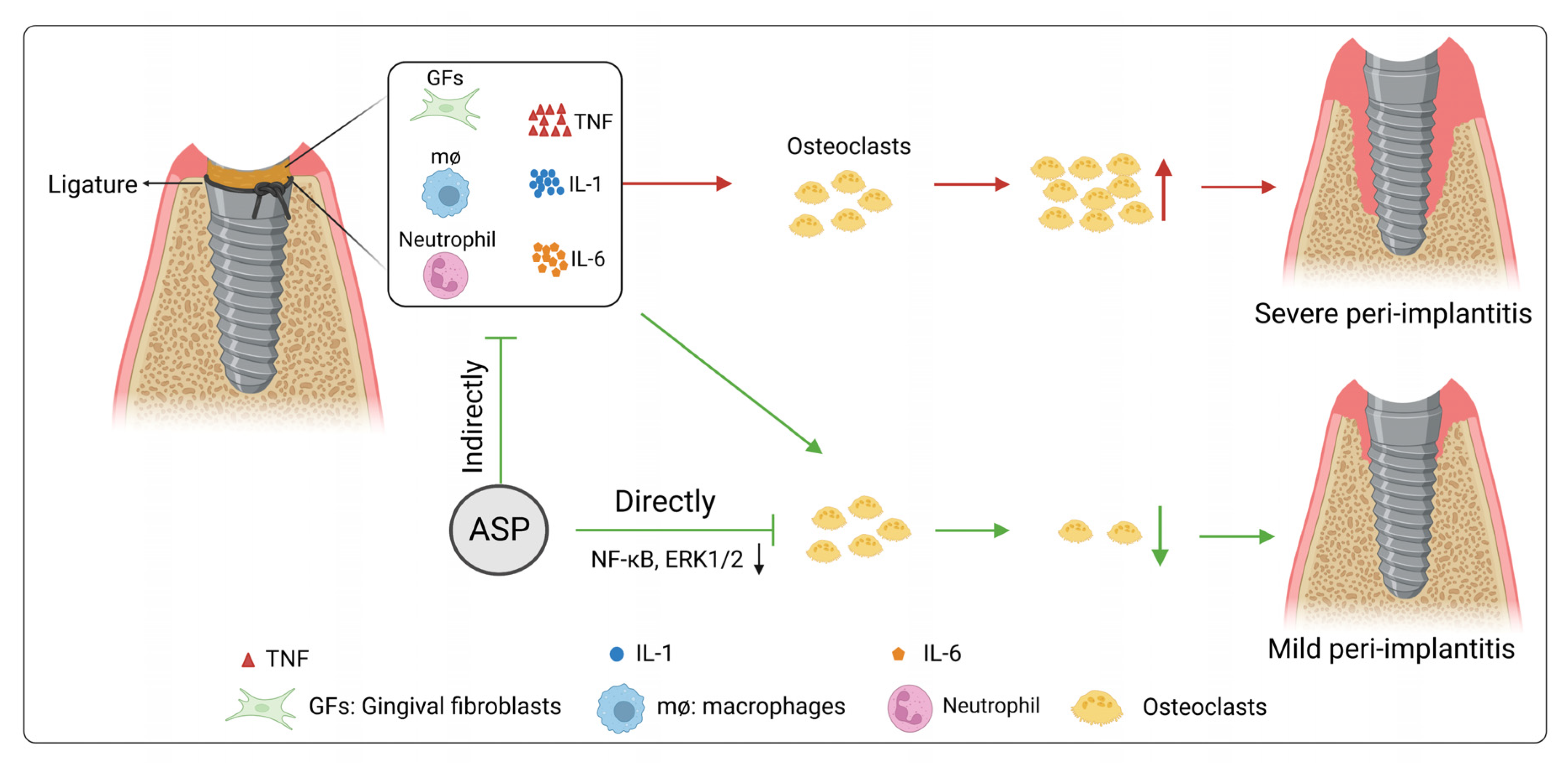 Pharmaceuticals 15 01027 g010