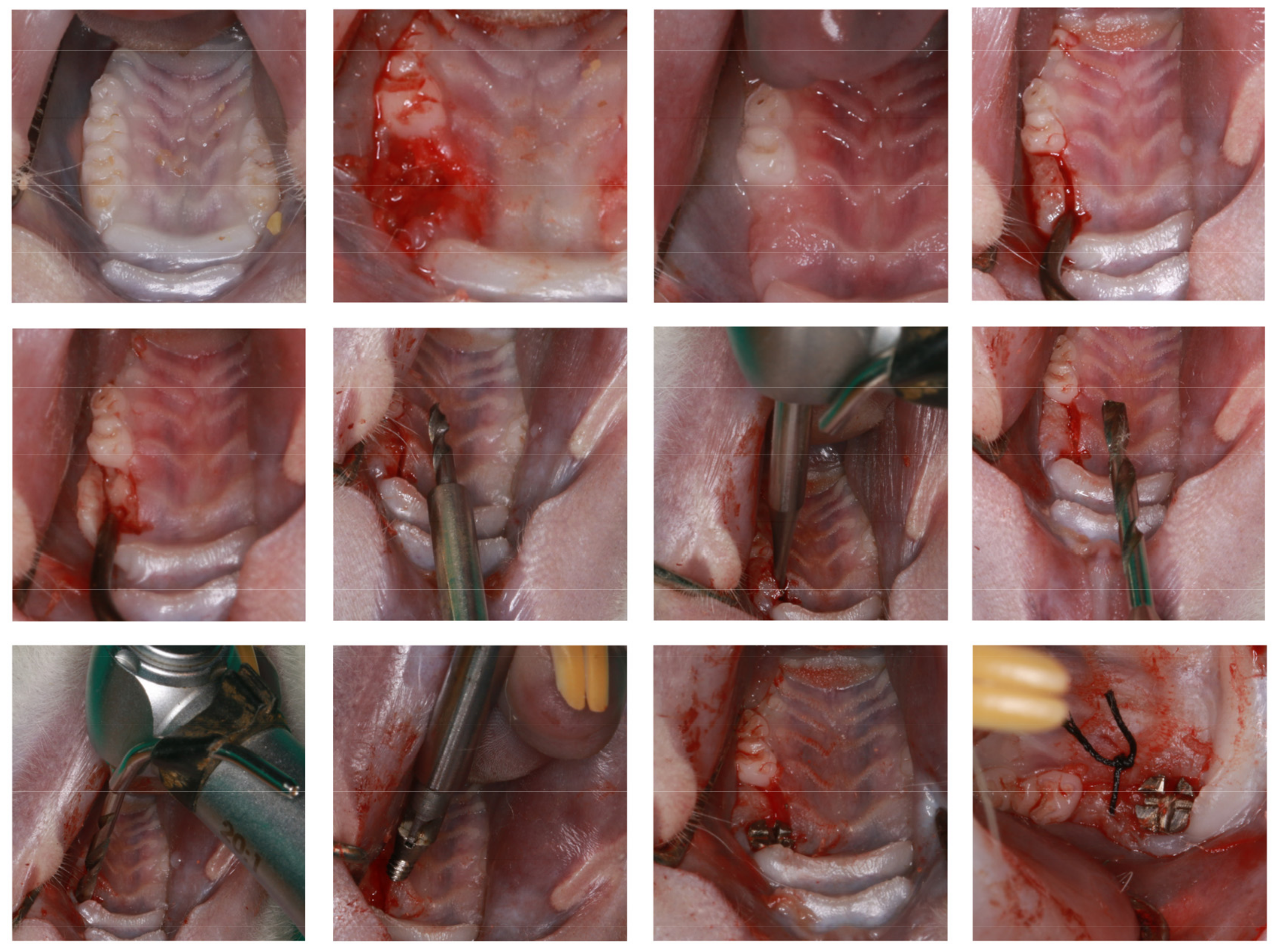 Pharmaceuticals 15 01027 g0a1