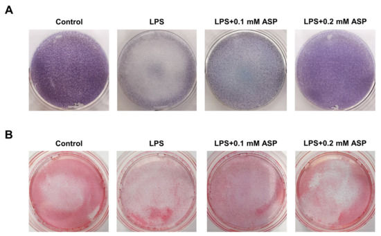 Pharmaceuticals 15 01027 g0a2 550