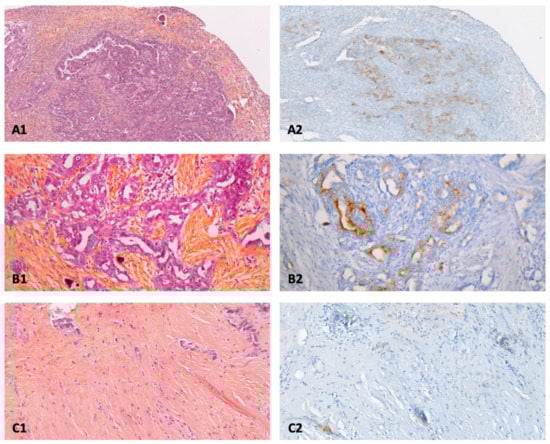 Pharmaceuticals 15 01034 g001