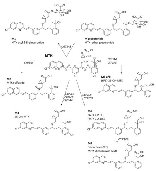 Pharmaceuticals 15 01039 g005
