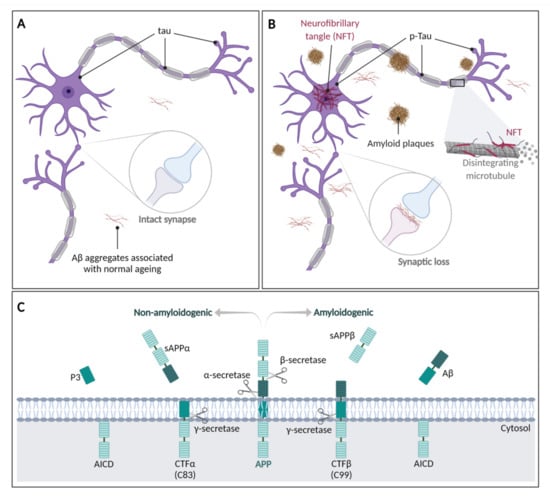Pharmaceuticals 15 01039 g006