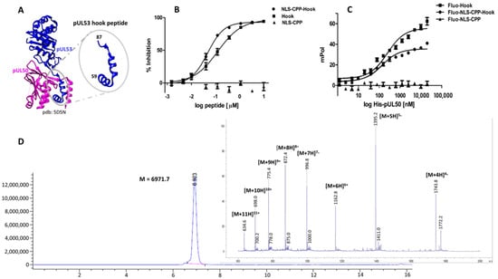 Pharmaceuticals 15 01040 g001 550