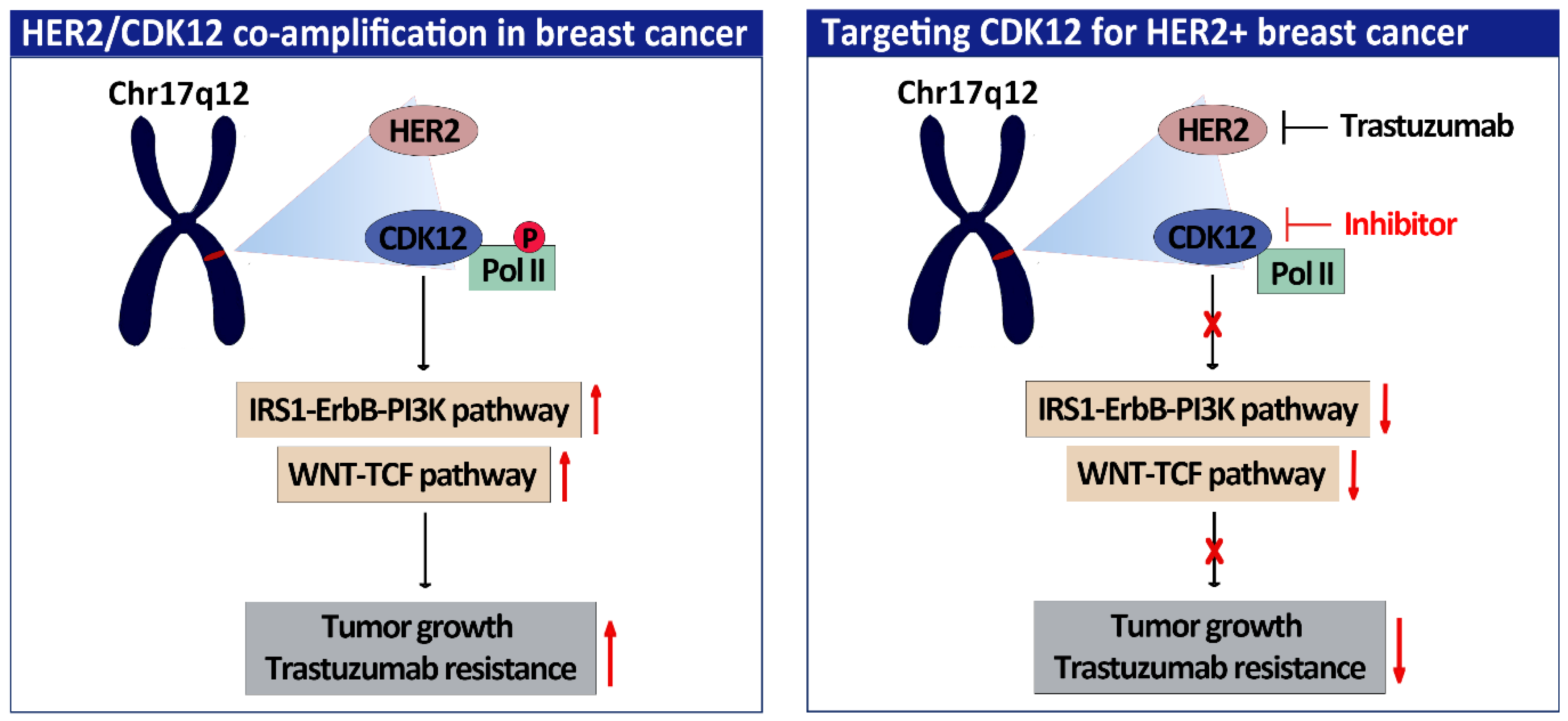 Pharmaceuticals 15 01041 g001