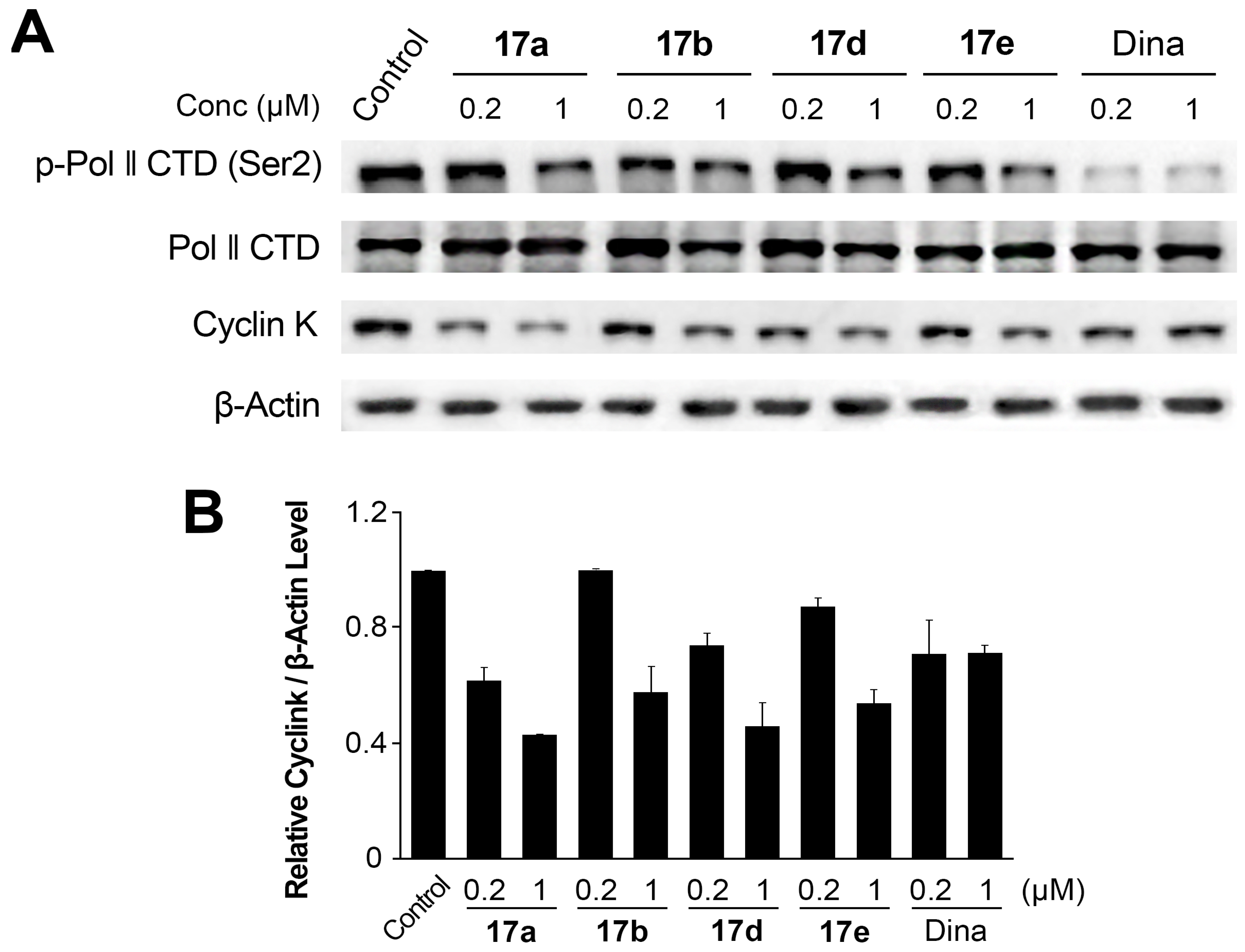 Pharmaceuticals 15 01041 g004