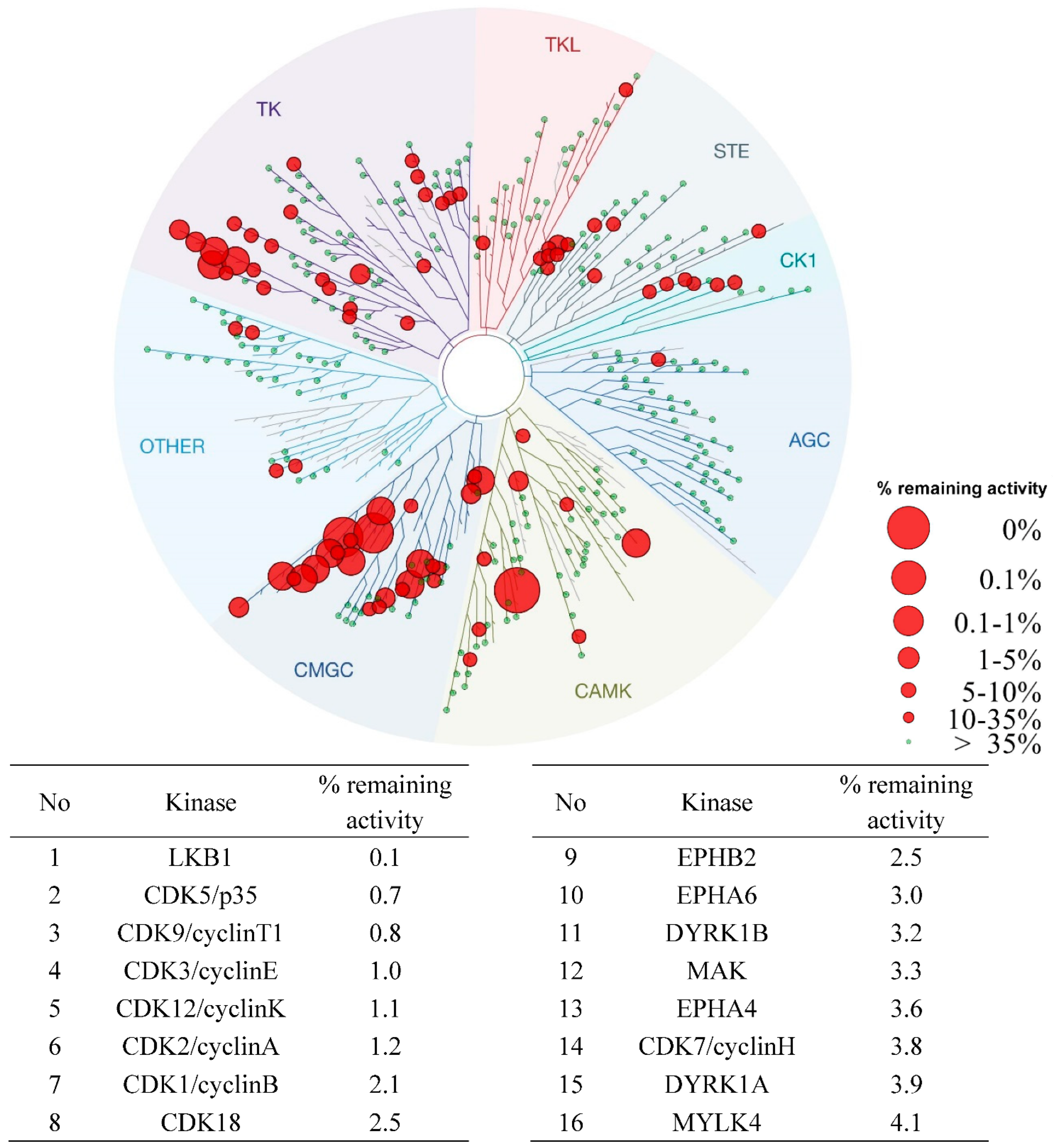 Pharmaceuticals 15 01041 g006