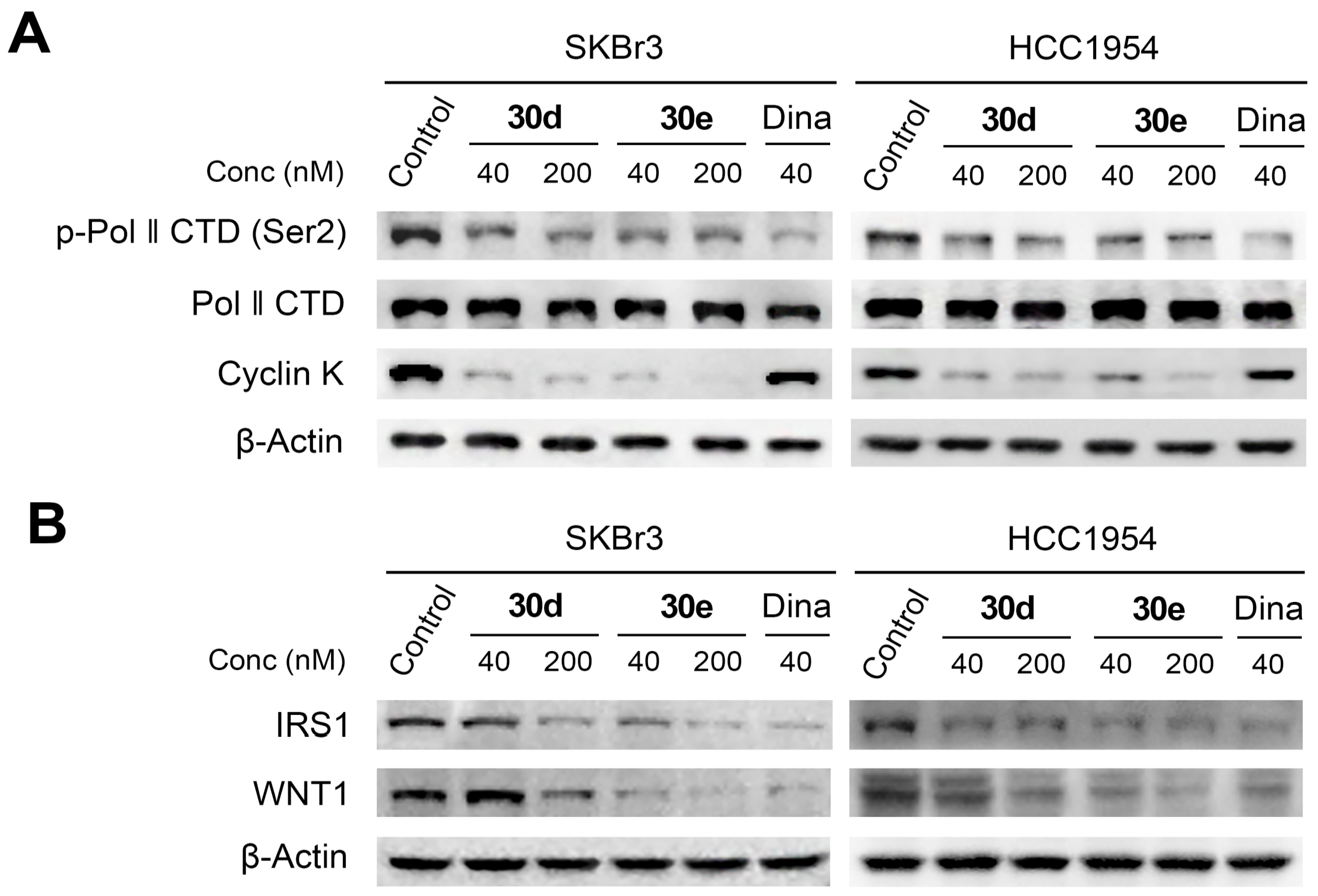 Pharmaceuticals 15 01041 g007