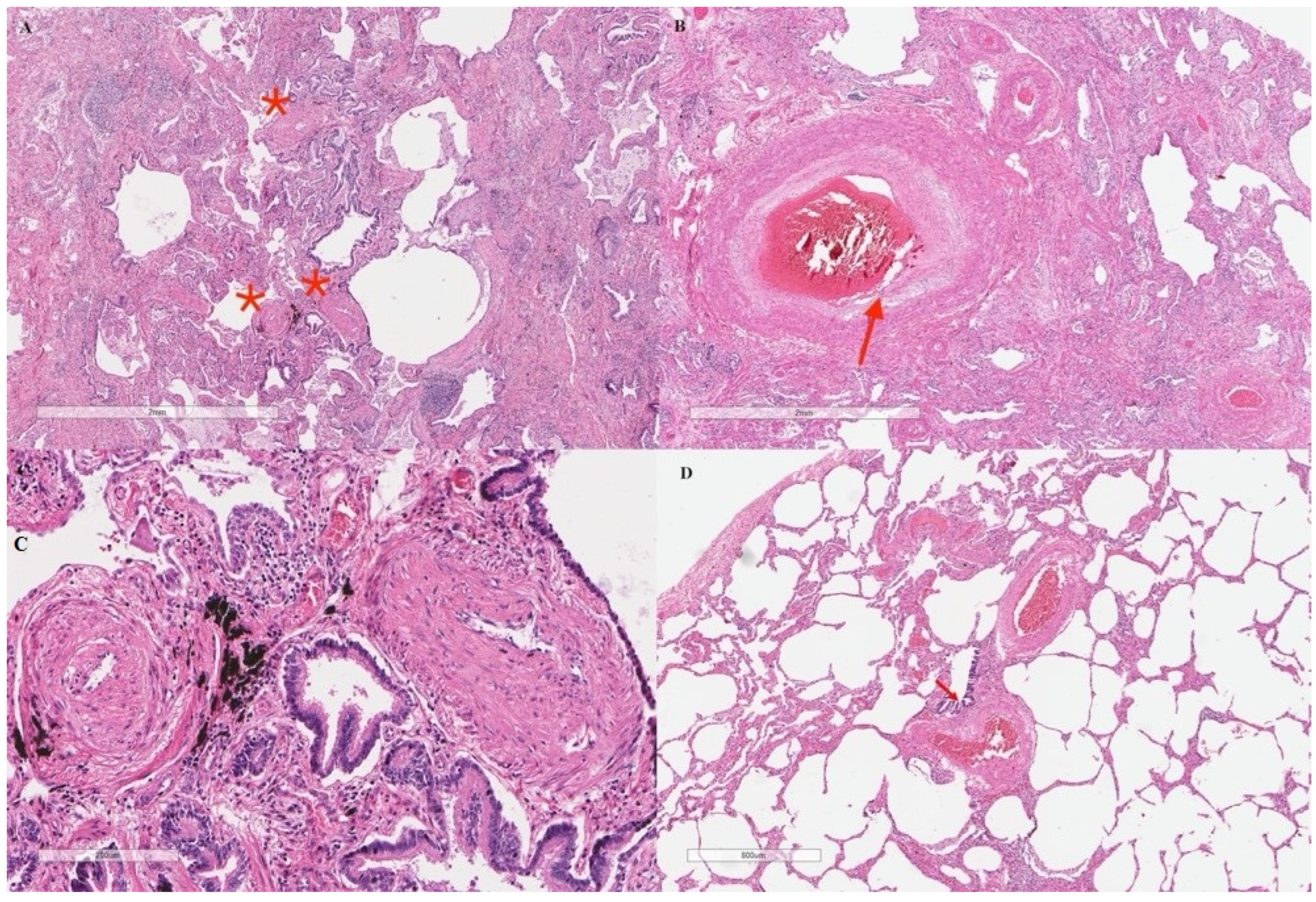 Pharmaceuticals 15 01042 g003