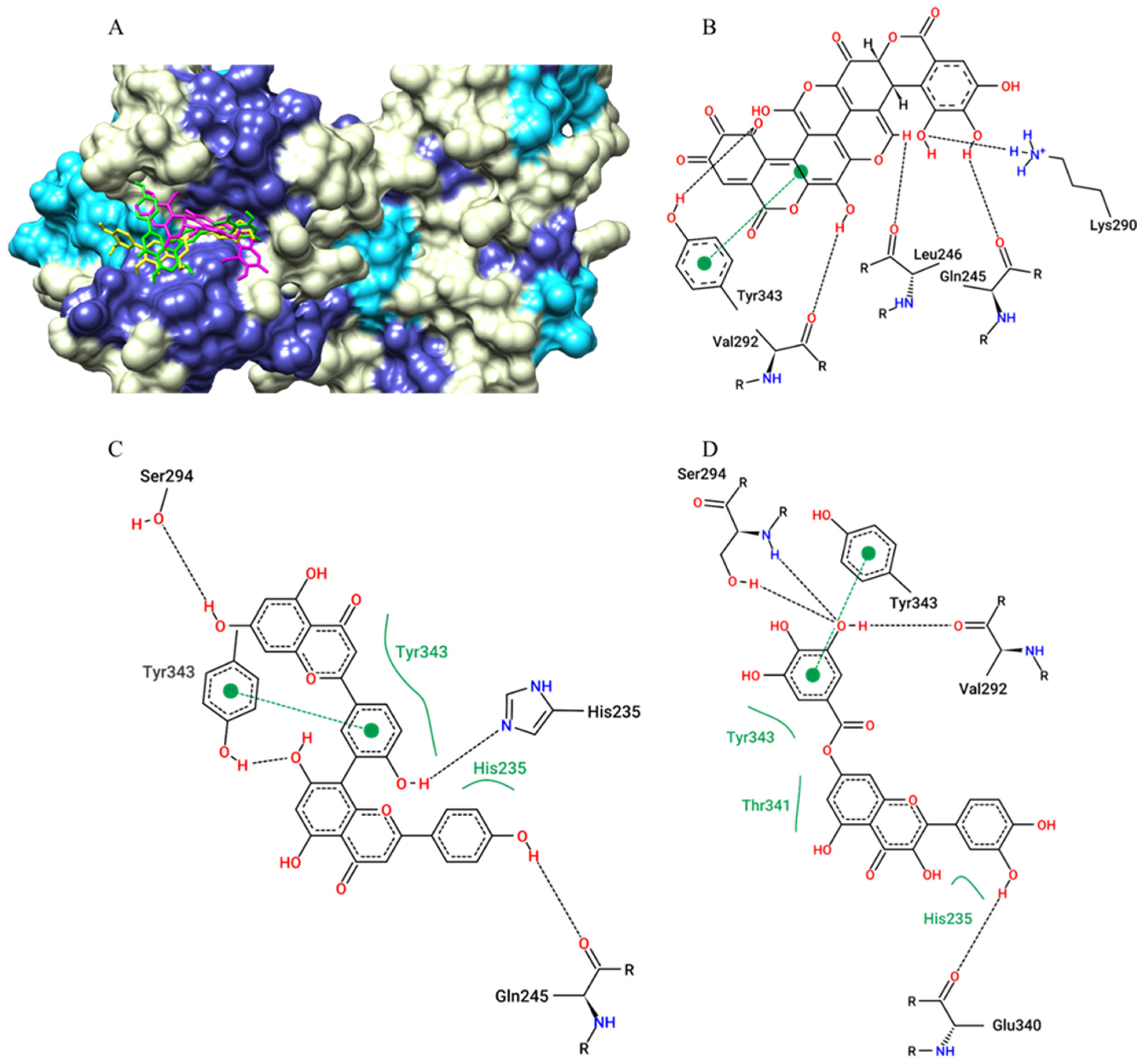 Pharmaceuticals 15 01045 g005