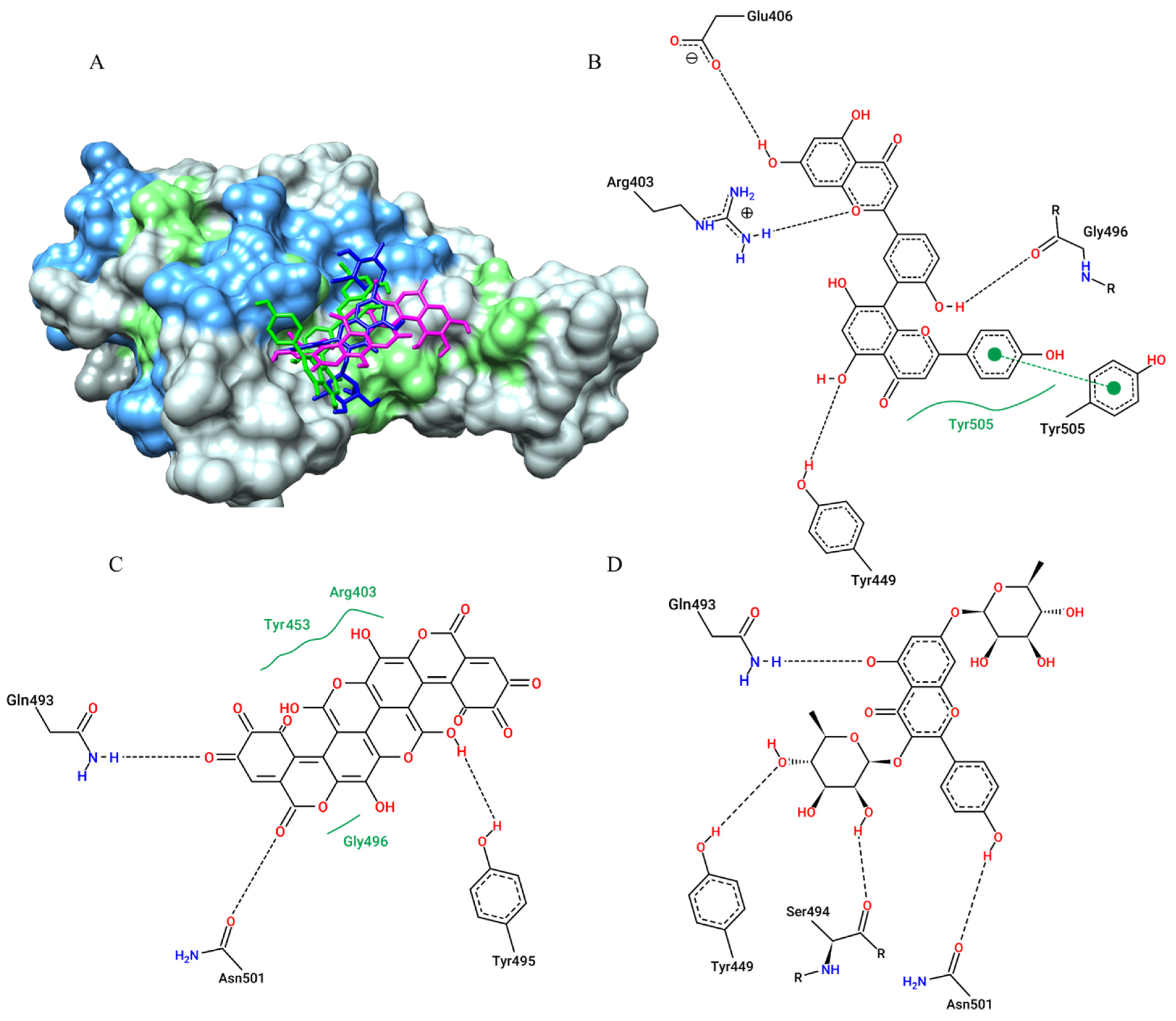 Pharmaceuticals 15 01045 g006