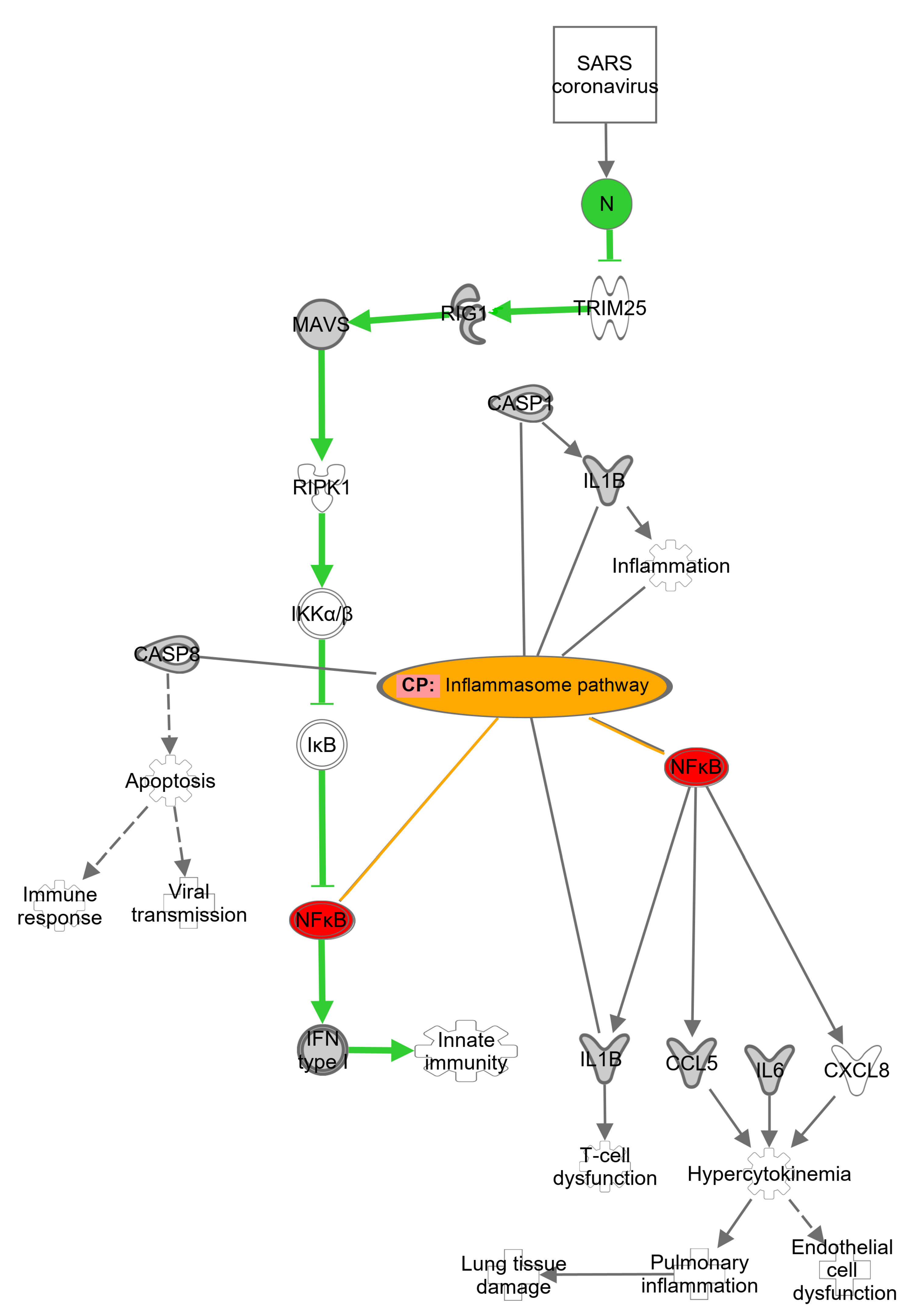 Pharmaceuticals 15 01046 g010