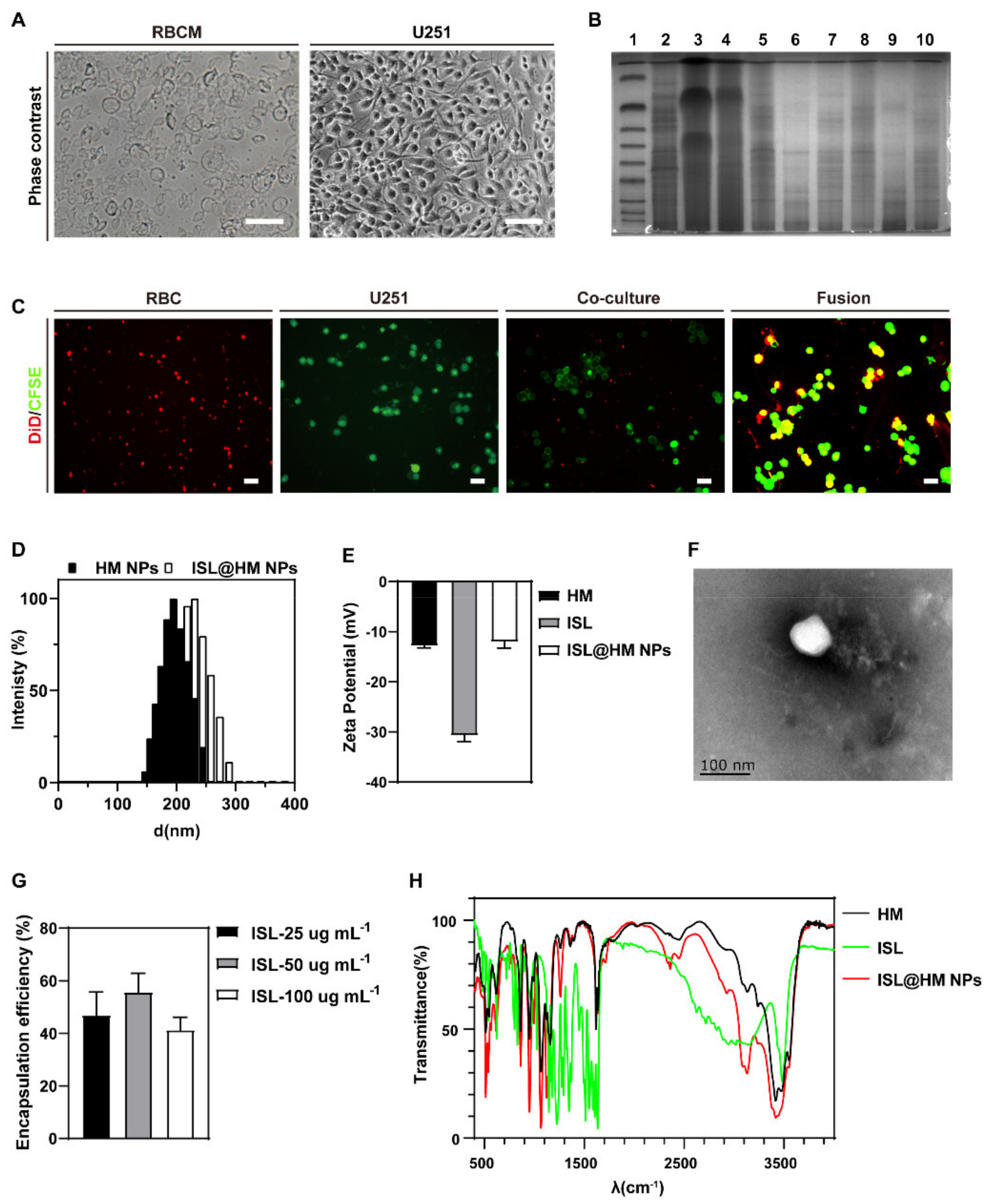 Pharmaceuticals 15 01059 g002