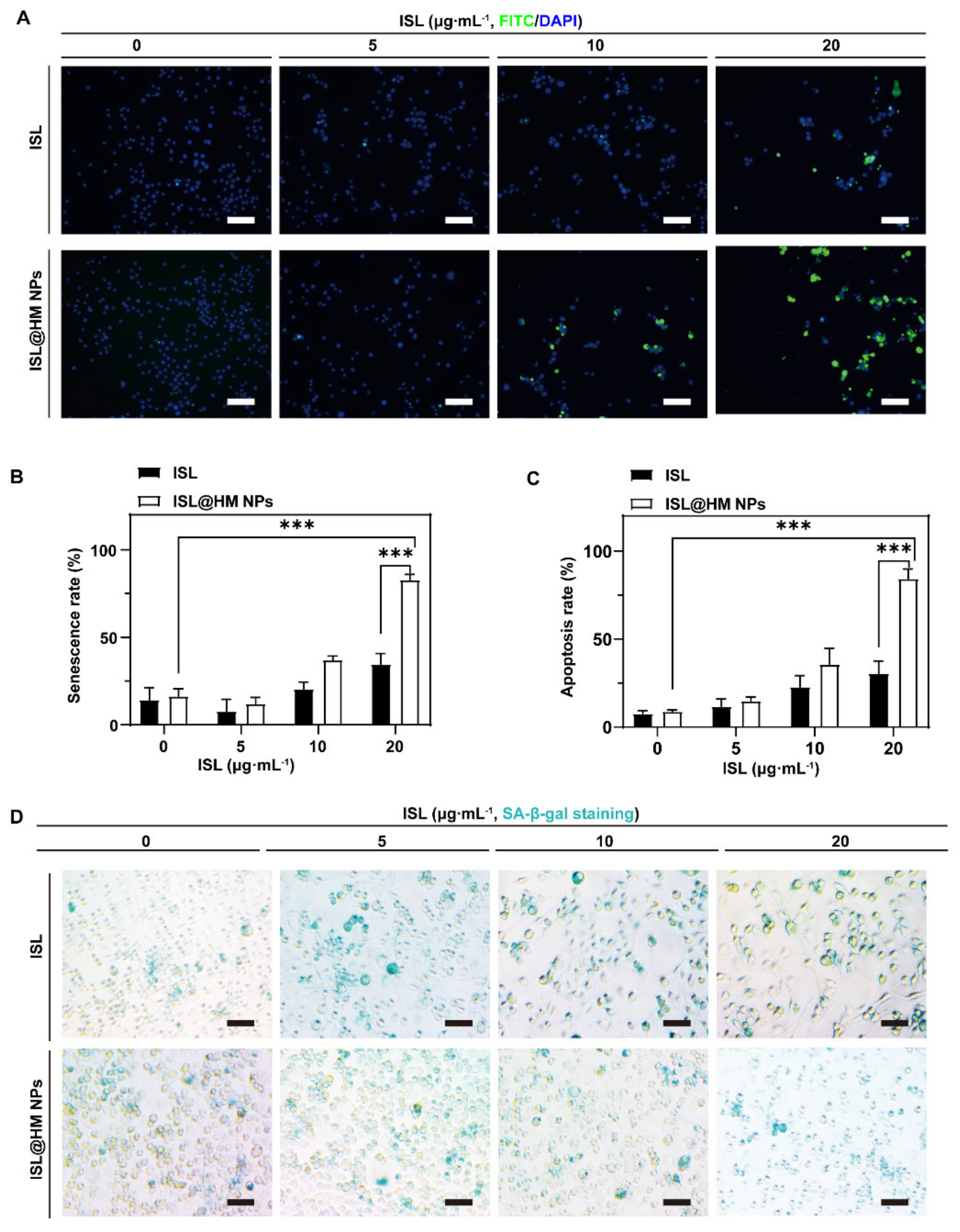 Pharmaceuticals 15 01059 g004
