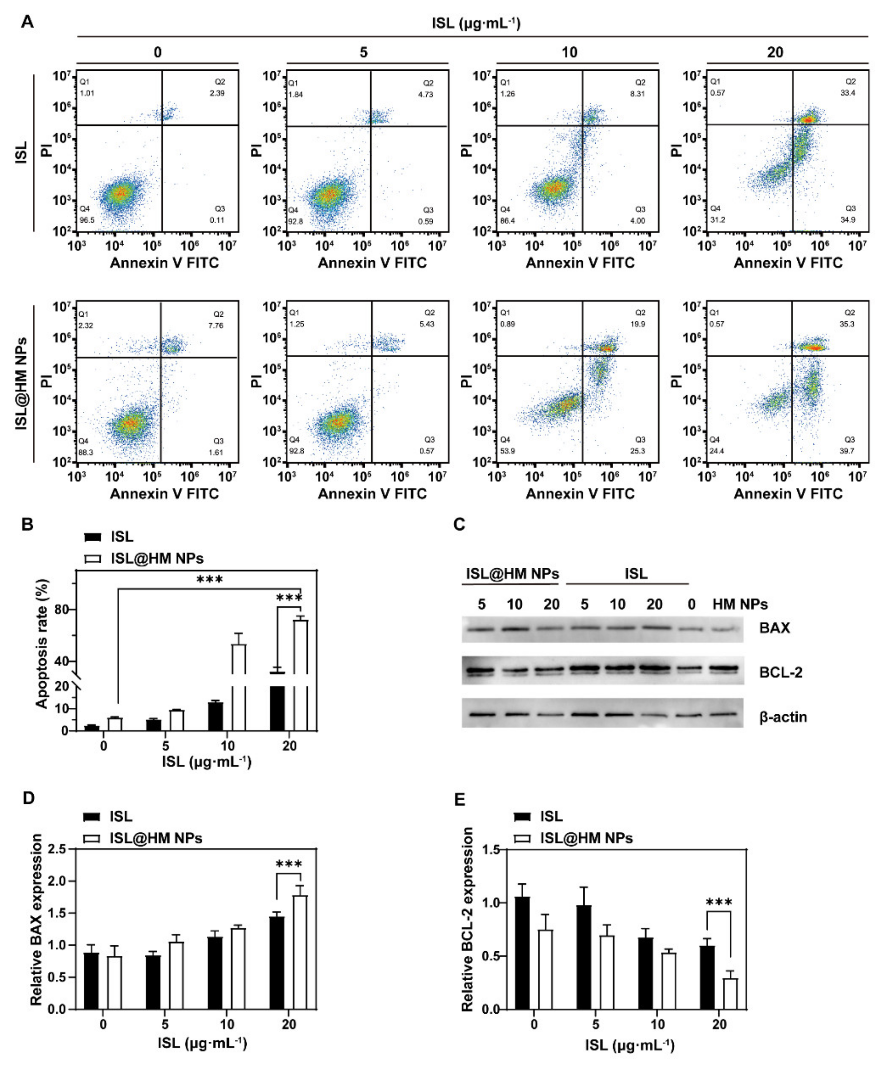 Pharmaceuticals 15 01059 g005