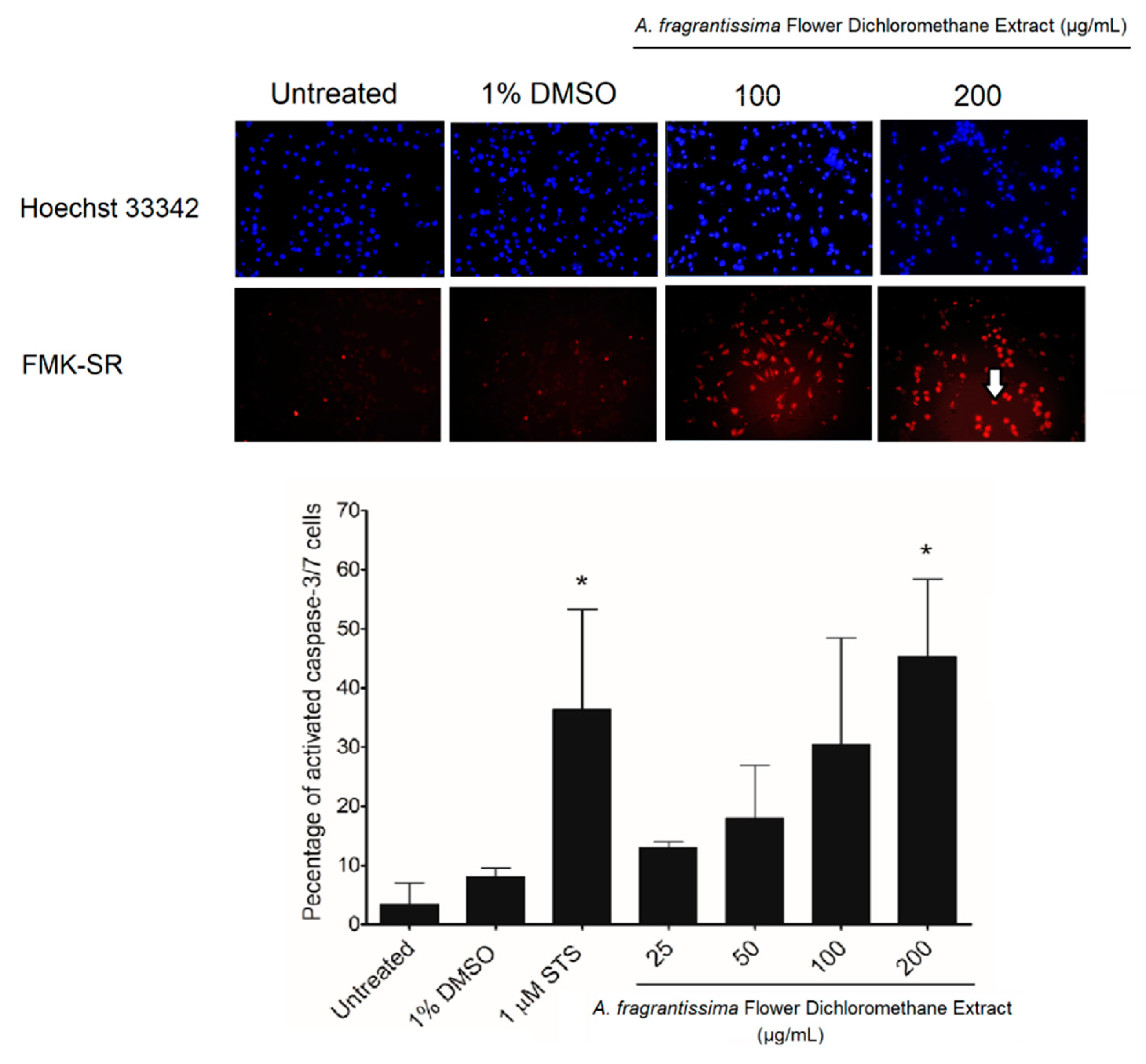 Pharmaceuticals 15 01060 g004