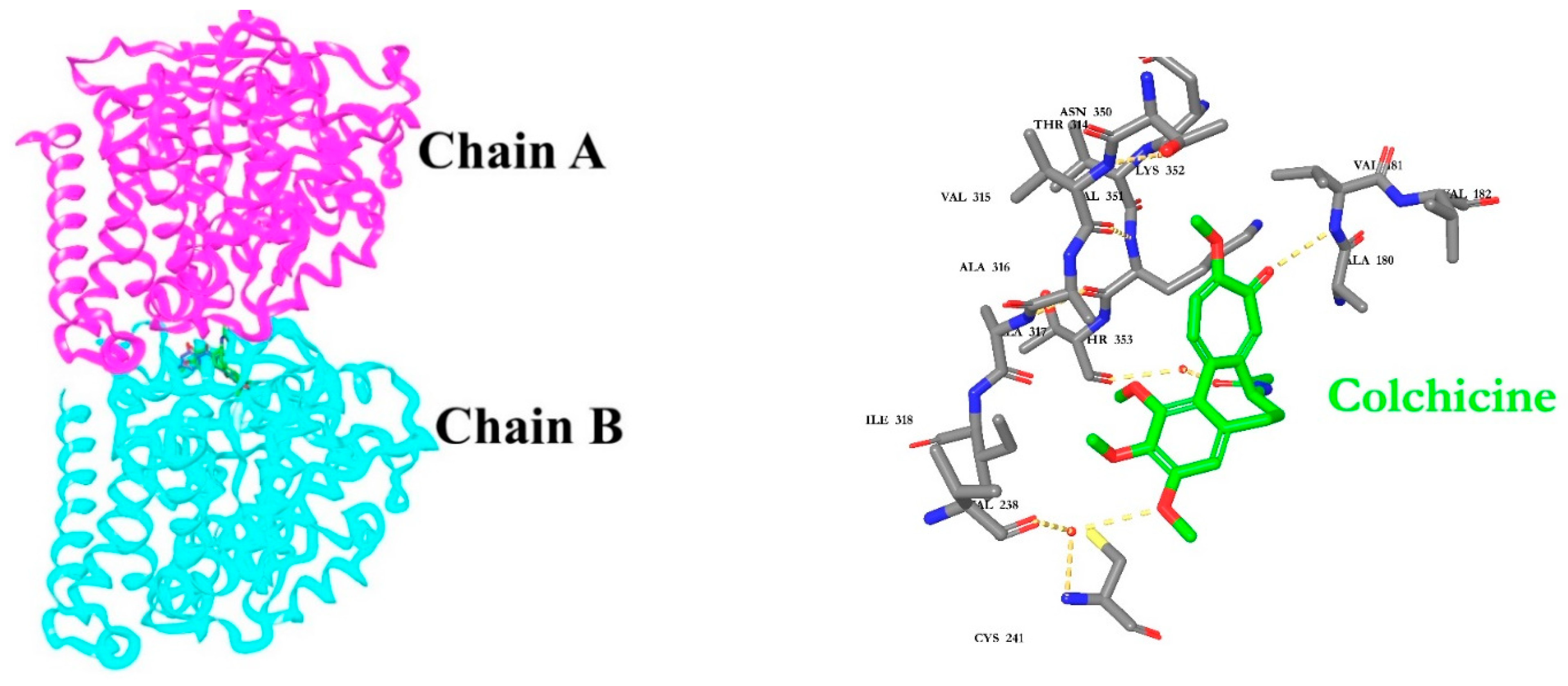 Pharmaceuticals 15 01060 g008b