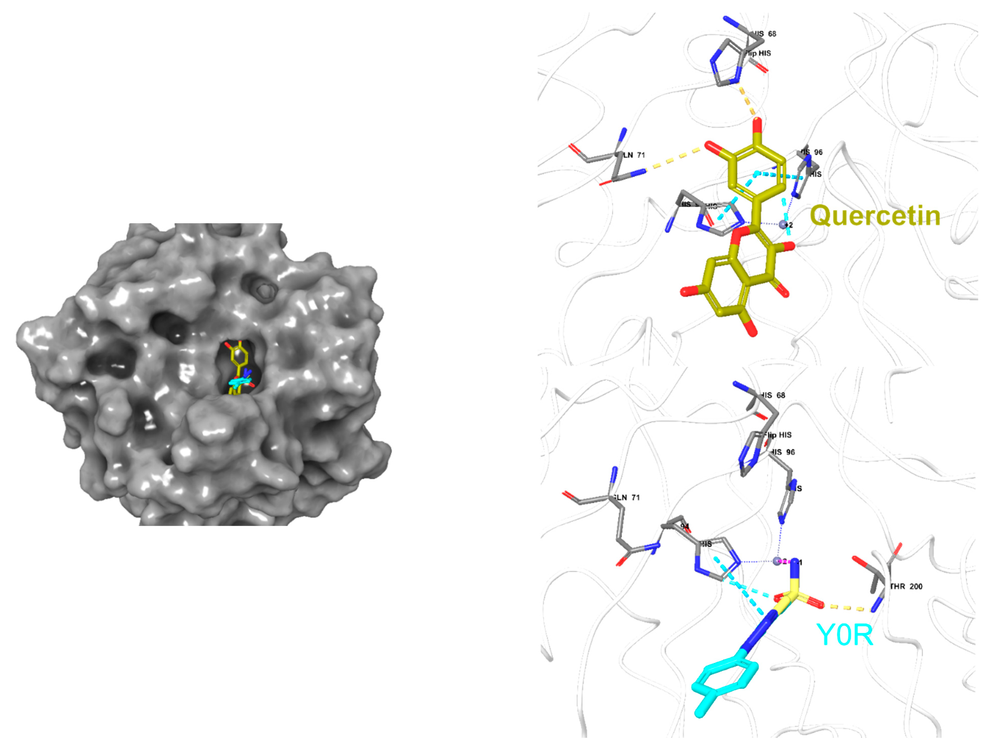 Pharmaceuticals 15 01060 g009