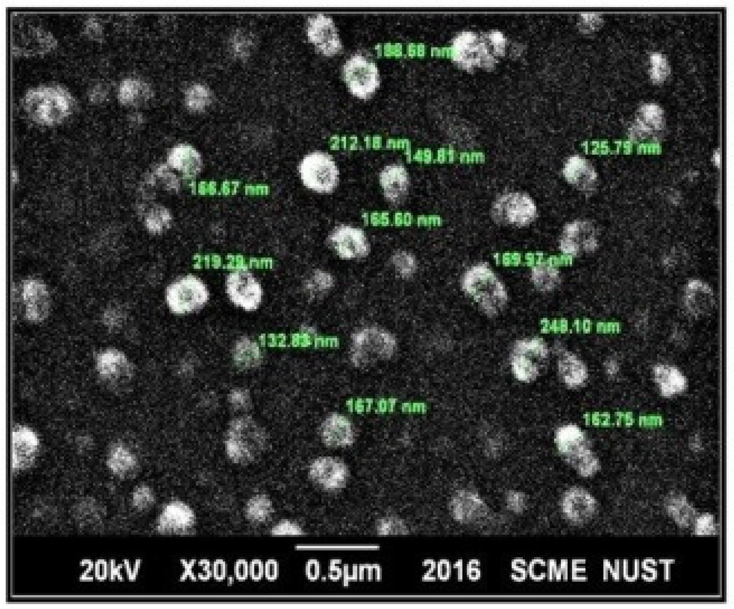 Pharmaceuticals 15 01064 g005
