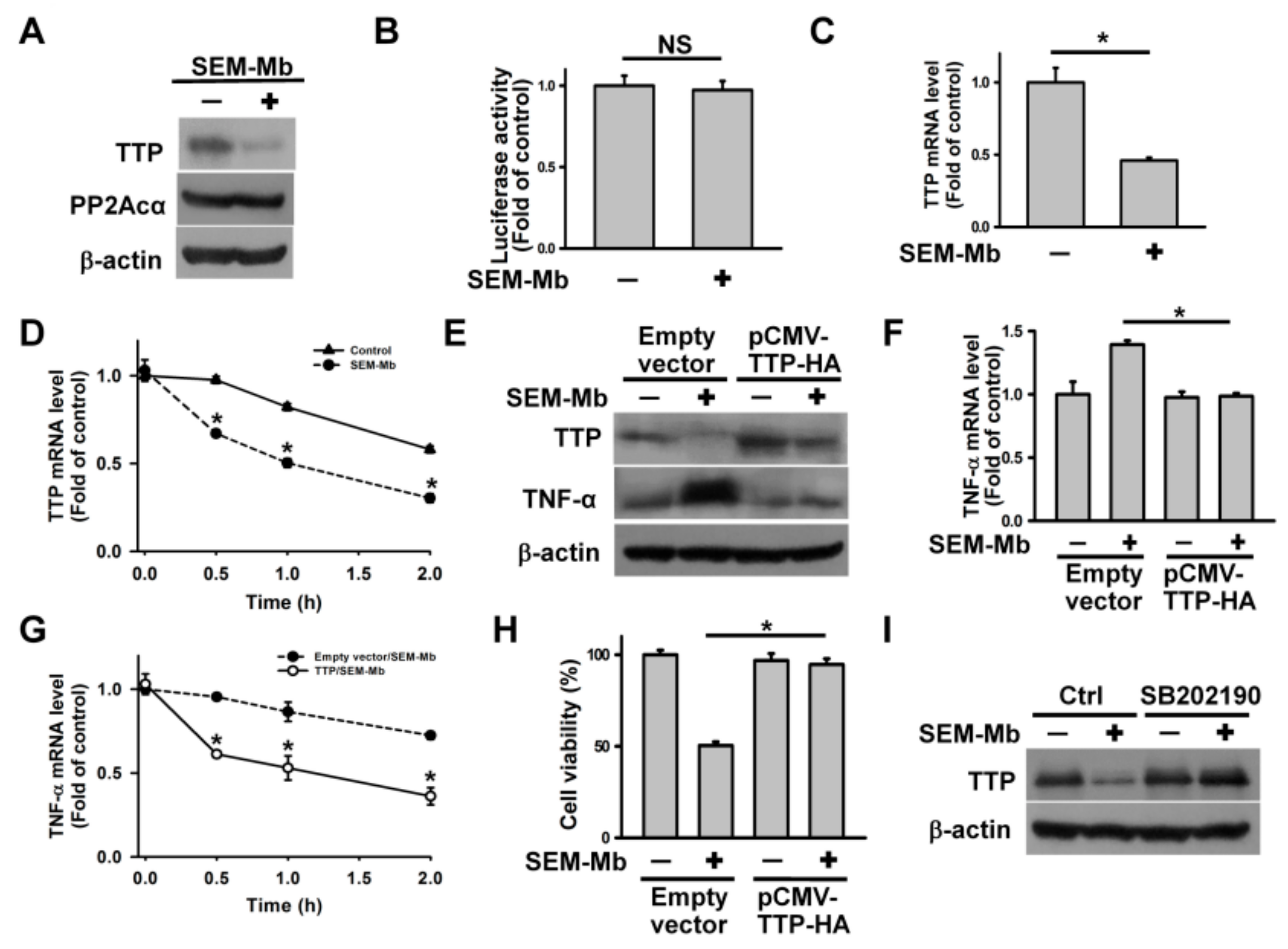 Pharmaceuticals 15 01066 g005a