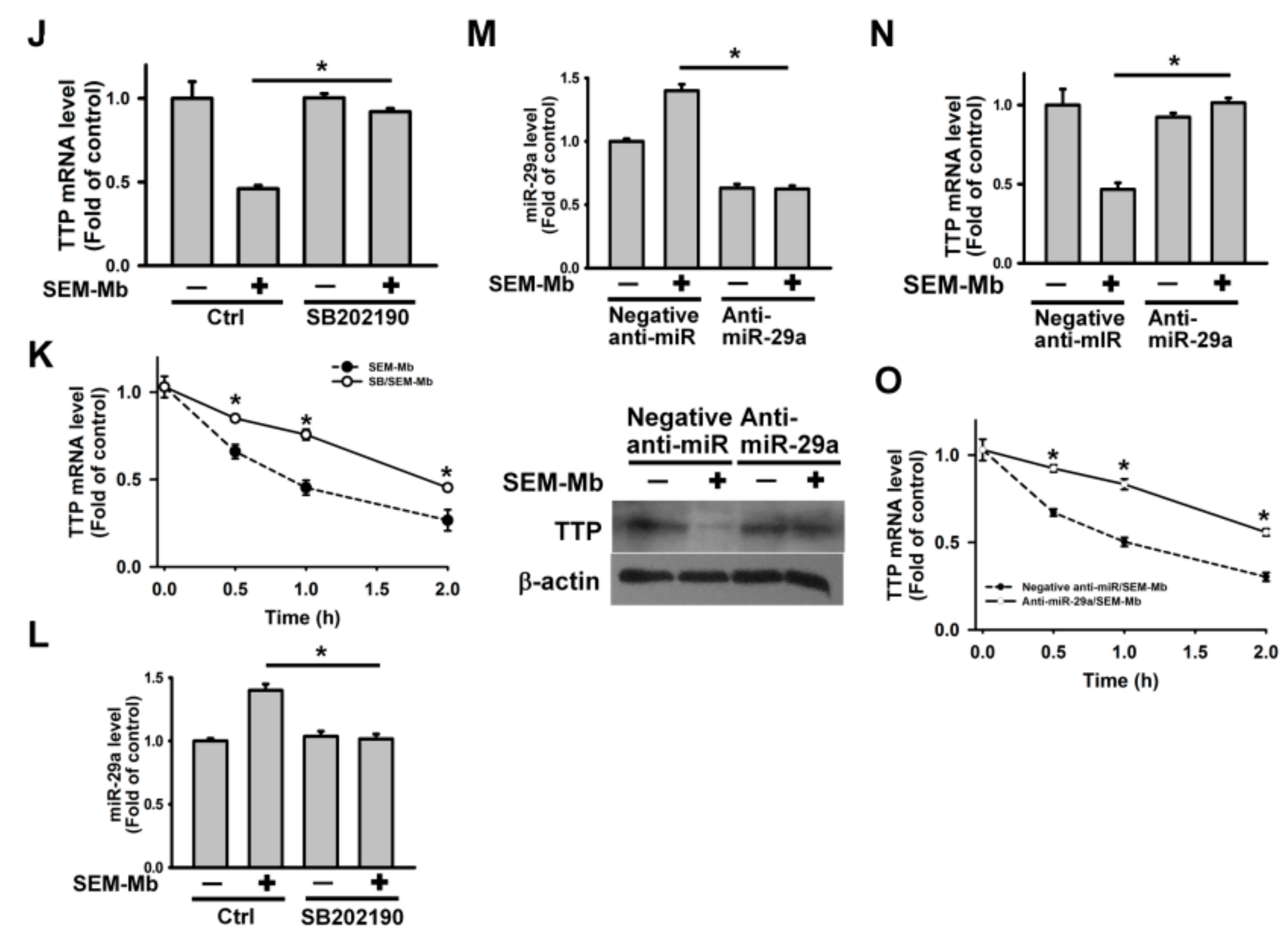 Pharmaceuticals 15 01066 g005b