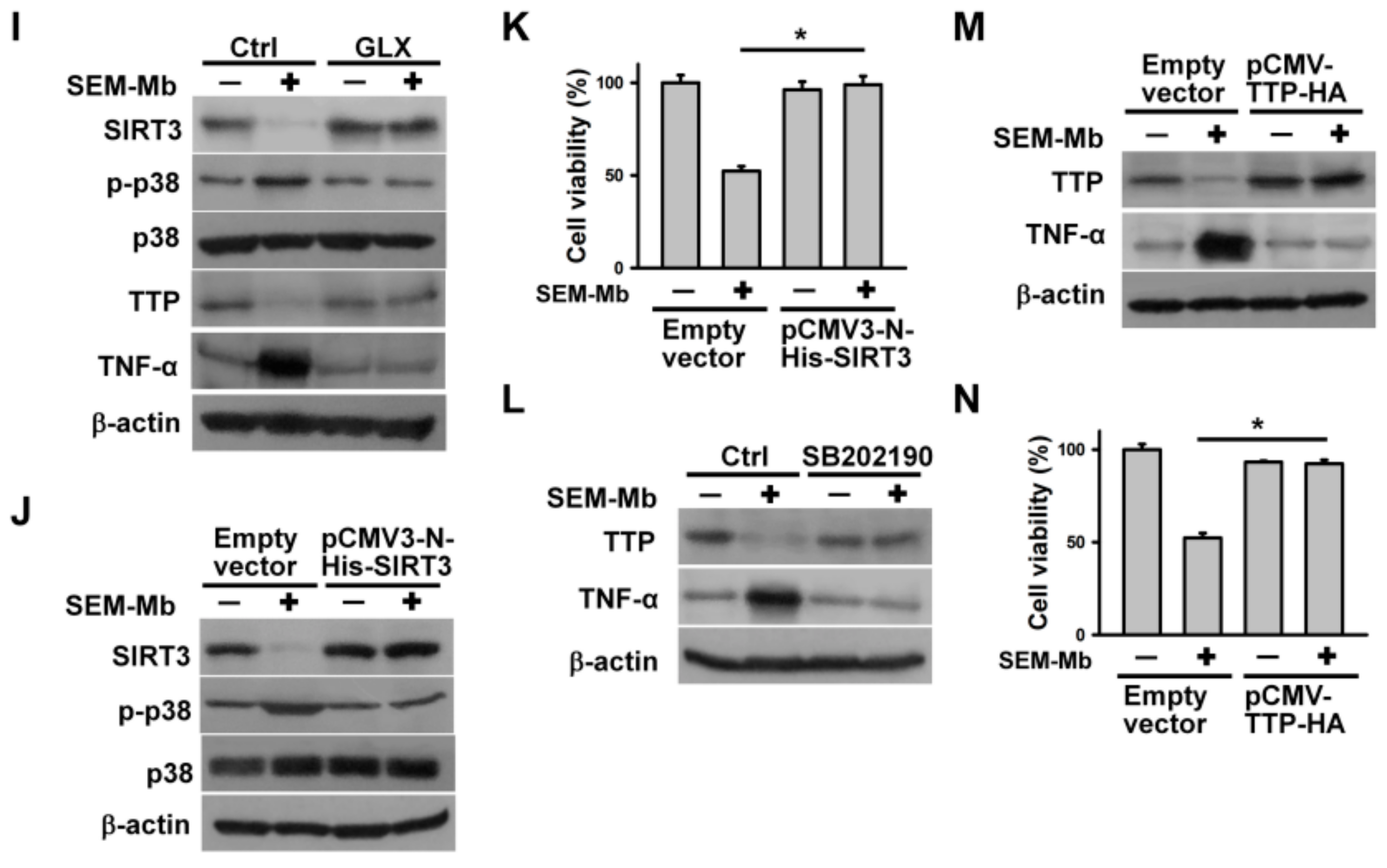 Pharmaceuticals 15 01066 g007b