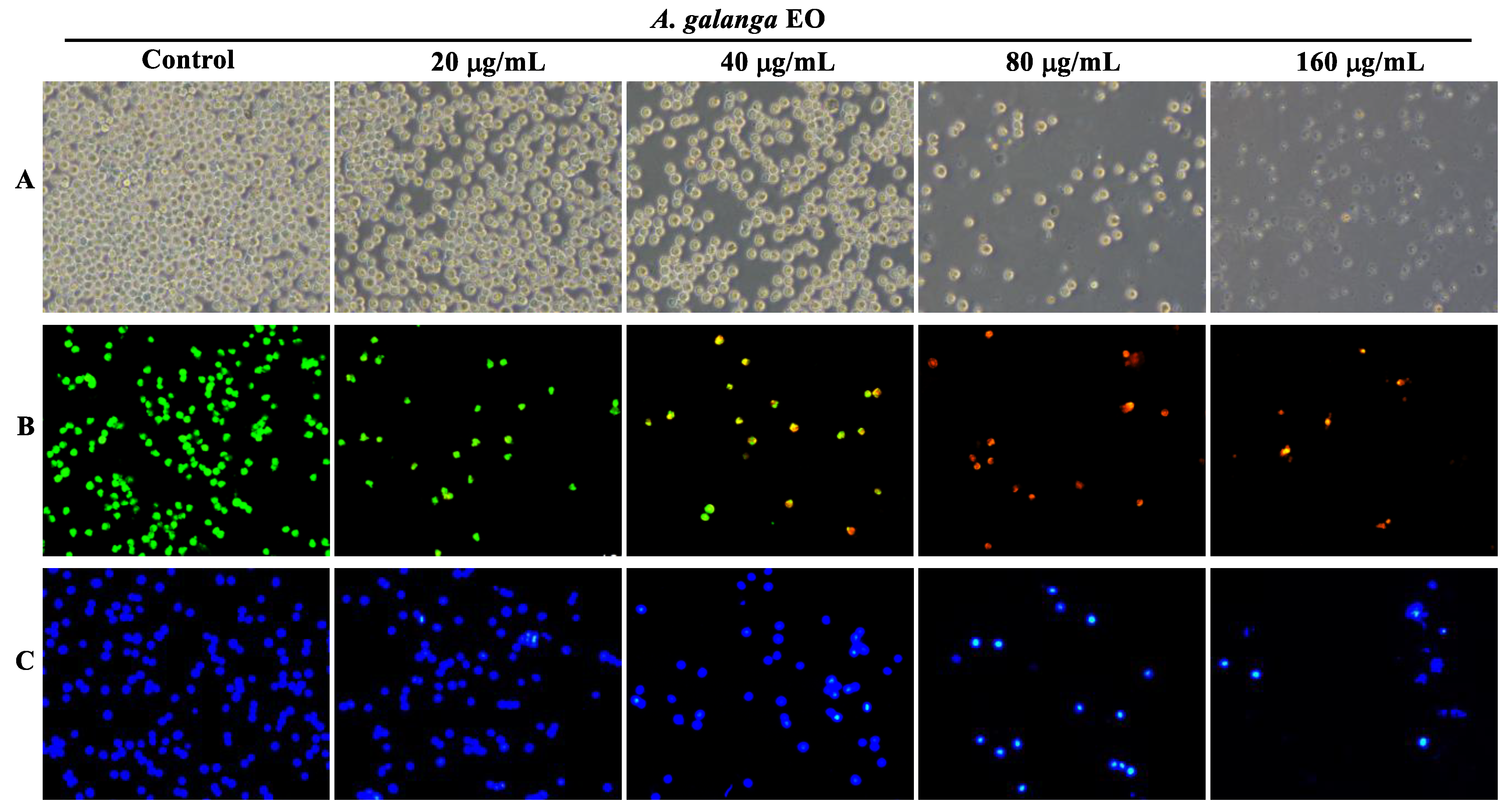 Pharmaceuticals 15 01069 g002