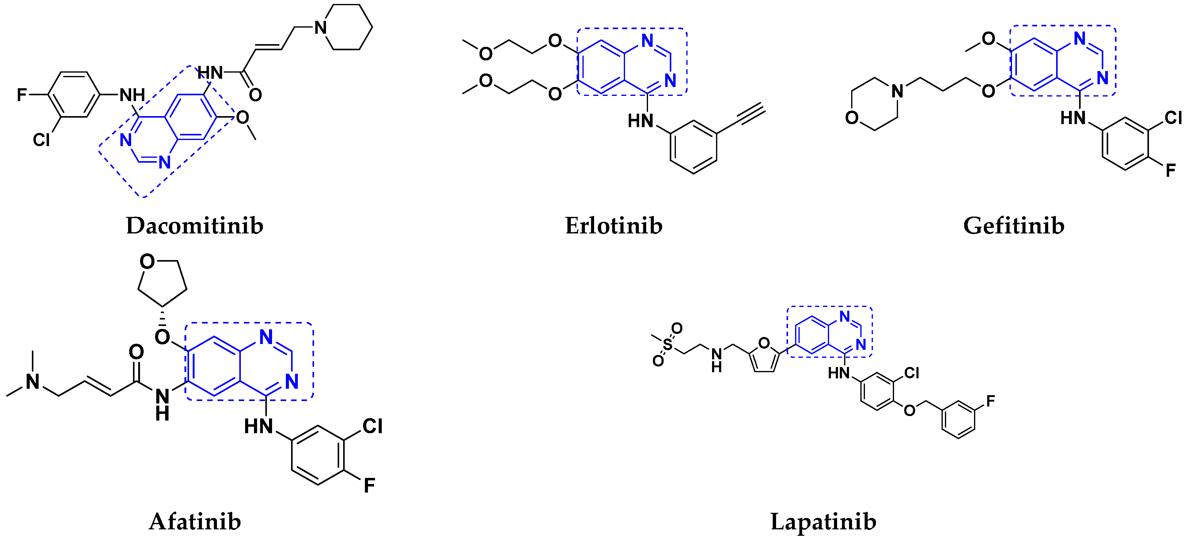 Pharmaceuticals 15 01071 g010