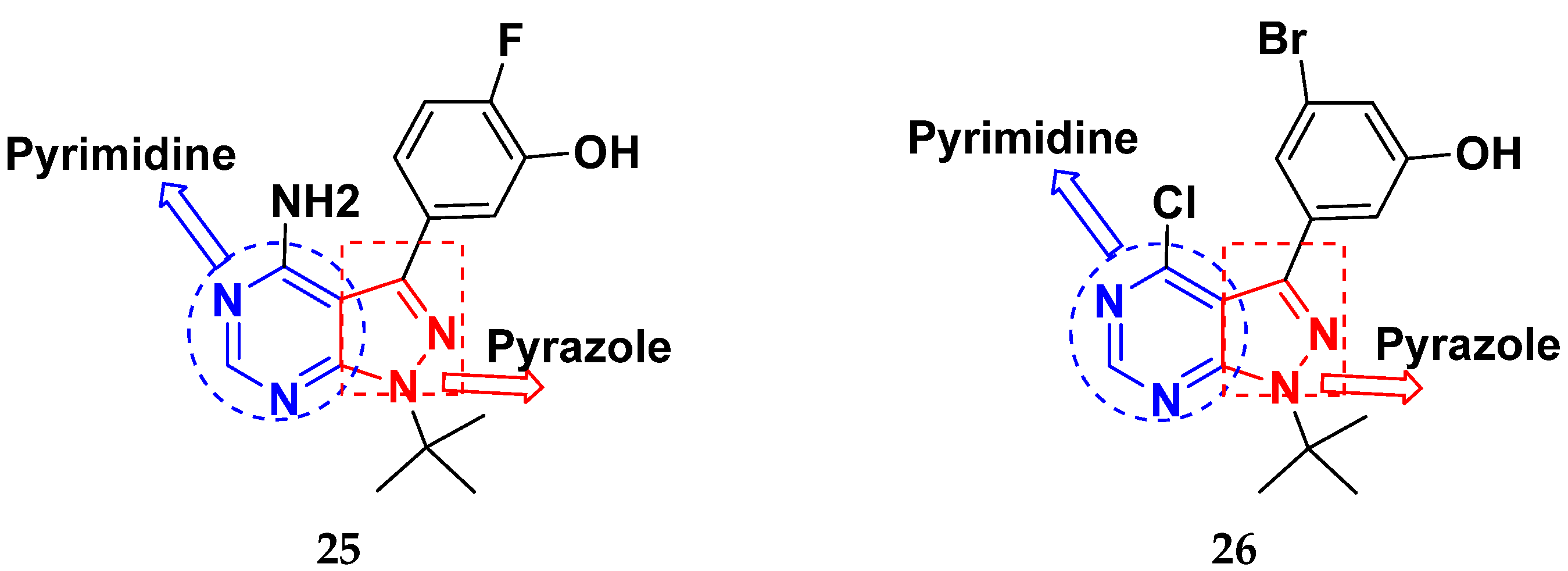 Pharmaceuticals 15 01071 g029