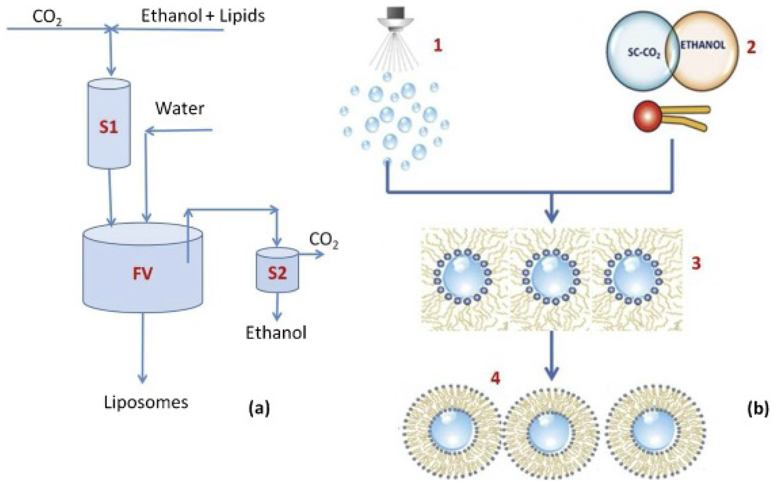 Pharmaceuticals 15 01072 g002