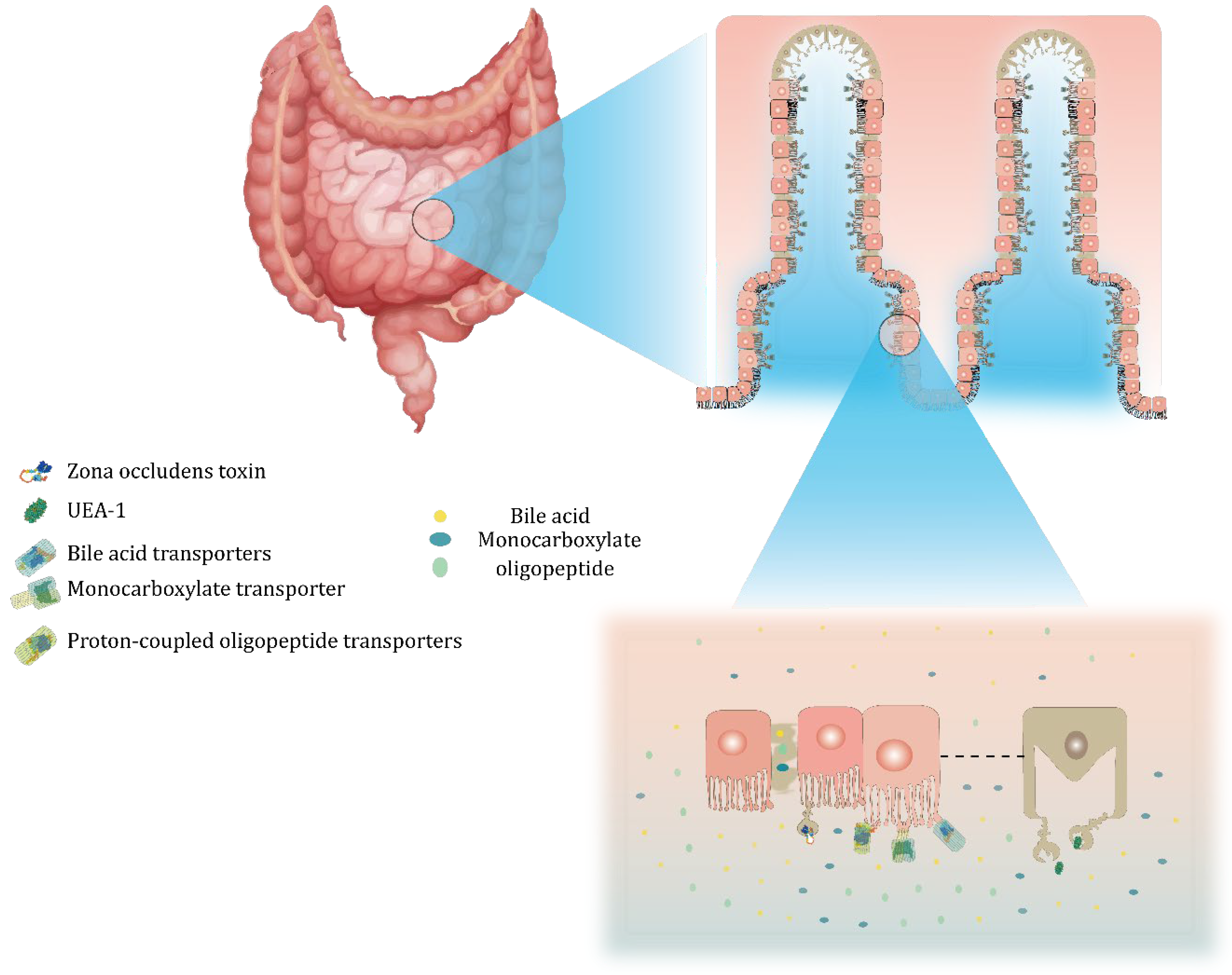 Pharmaceuticals 15 01072 g004