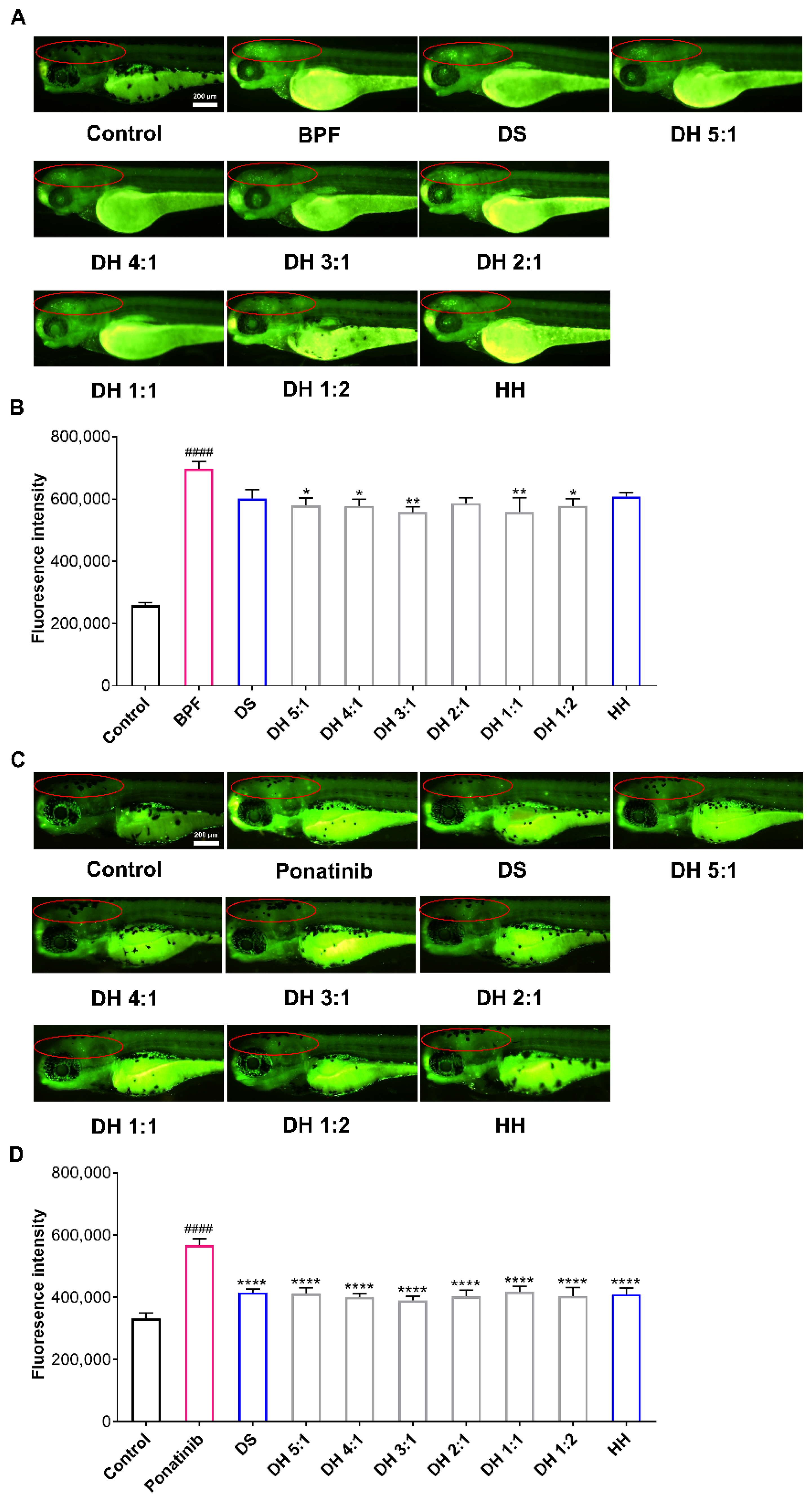 Pharmaceuticals 15 01073 g002