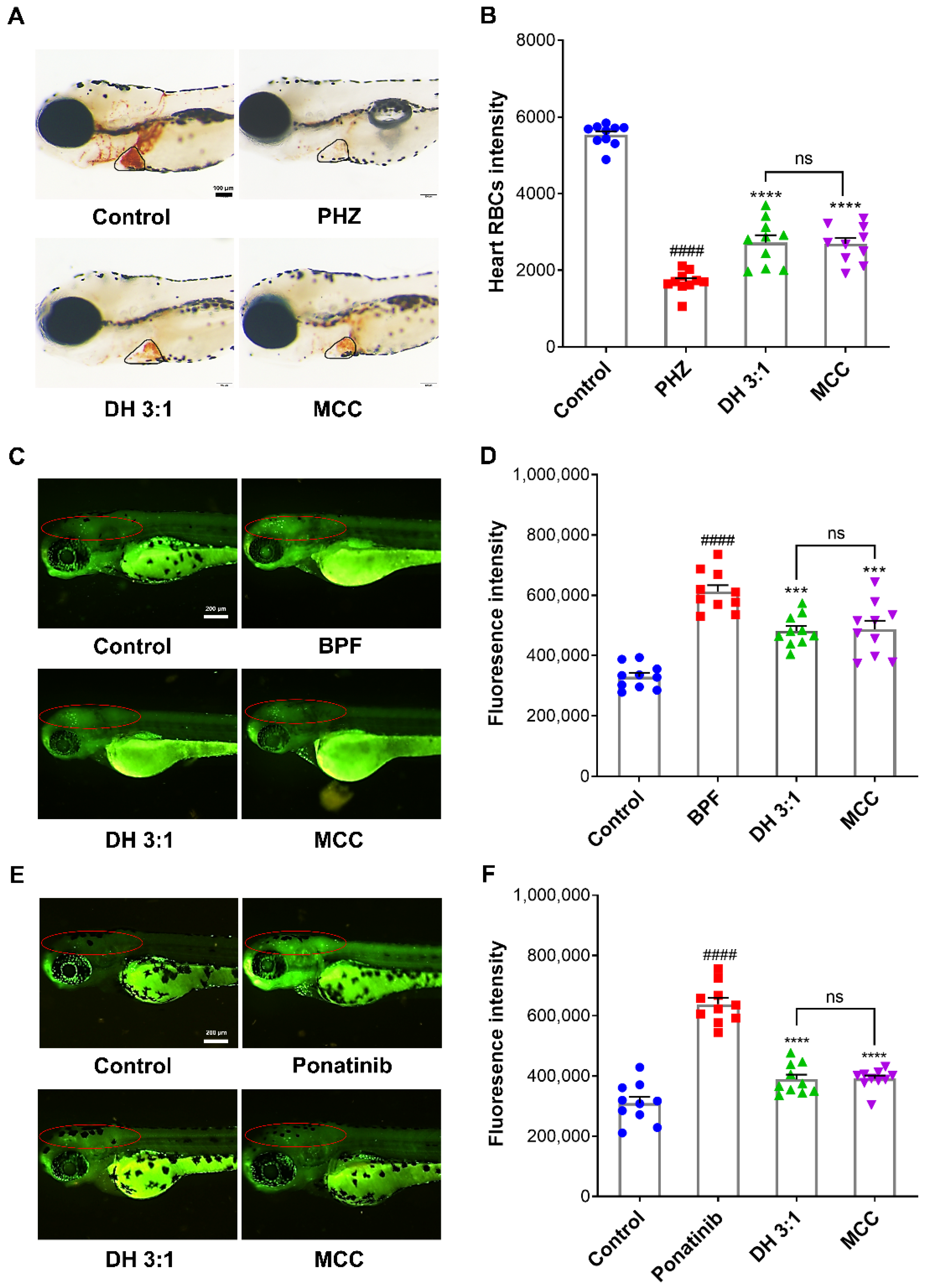 Pharmaceuticals 15 01073 g005