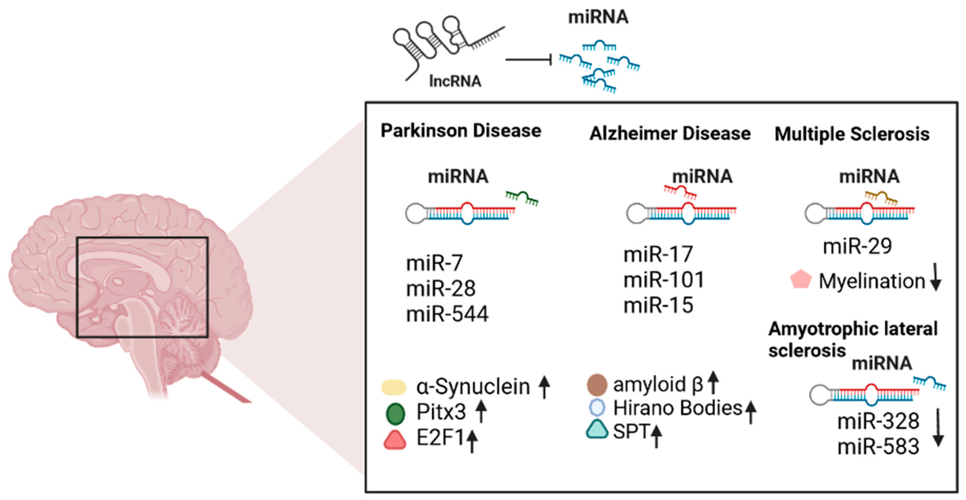 Pharmaceuticals 15 01077 g001