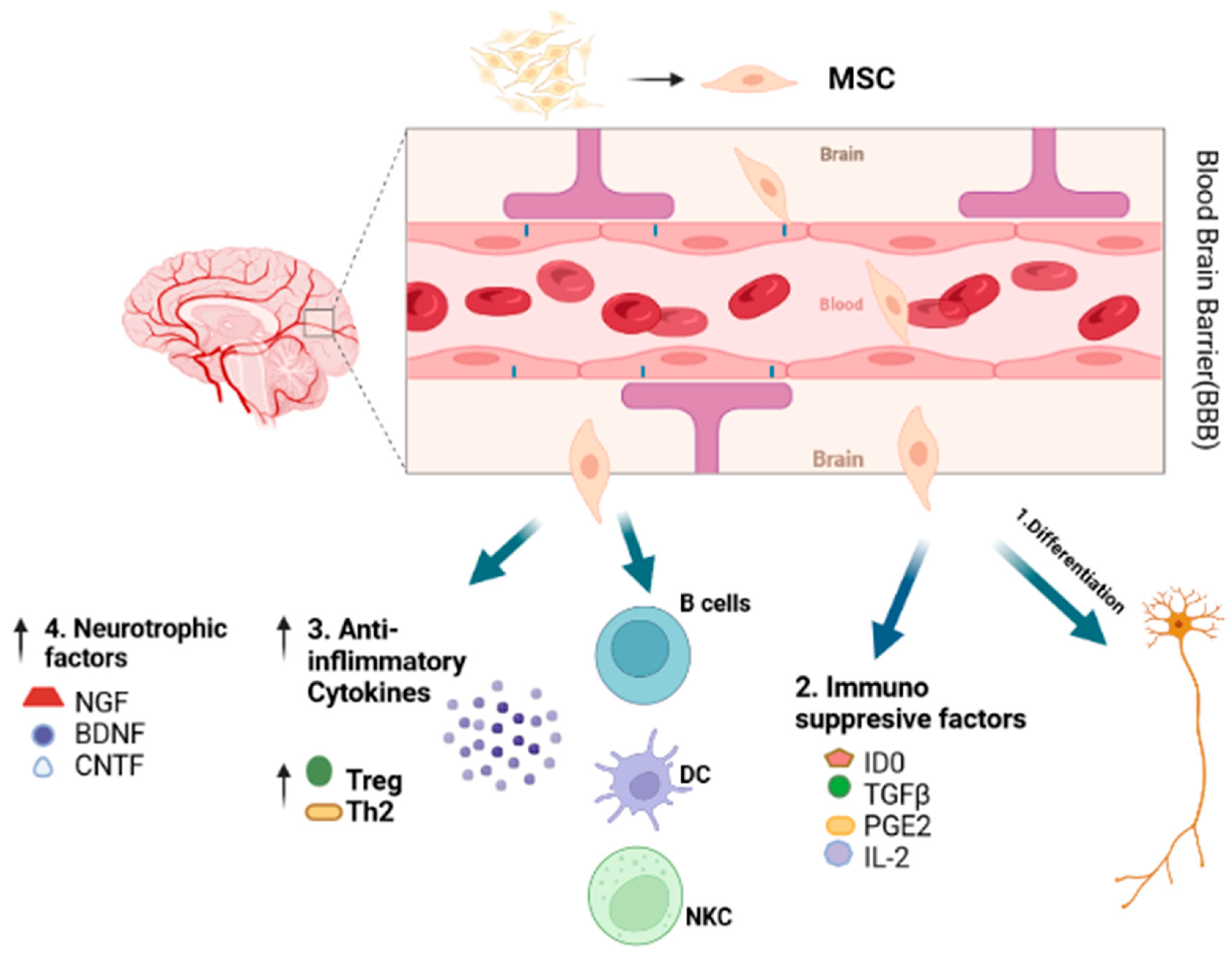 Pharmaceuticals 15 01077 g003