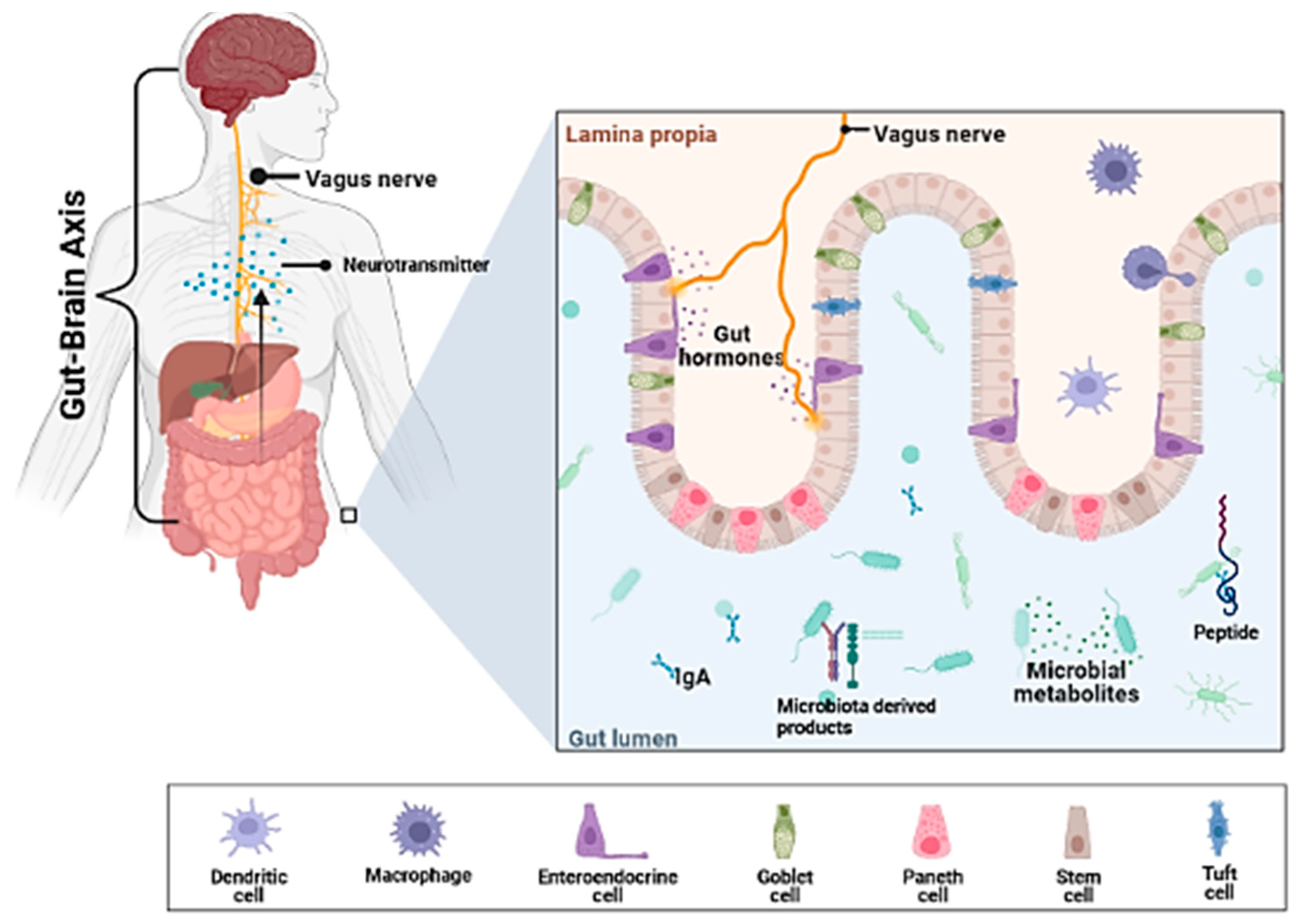 Pharmaceuticals 15 01077 g004