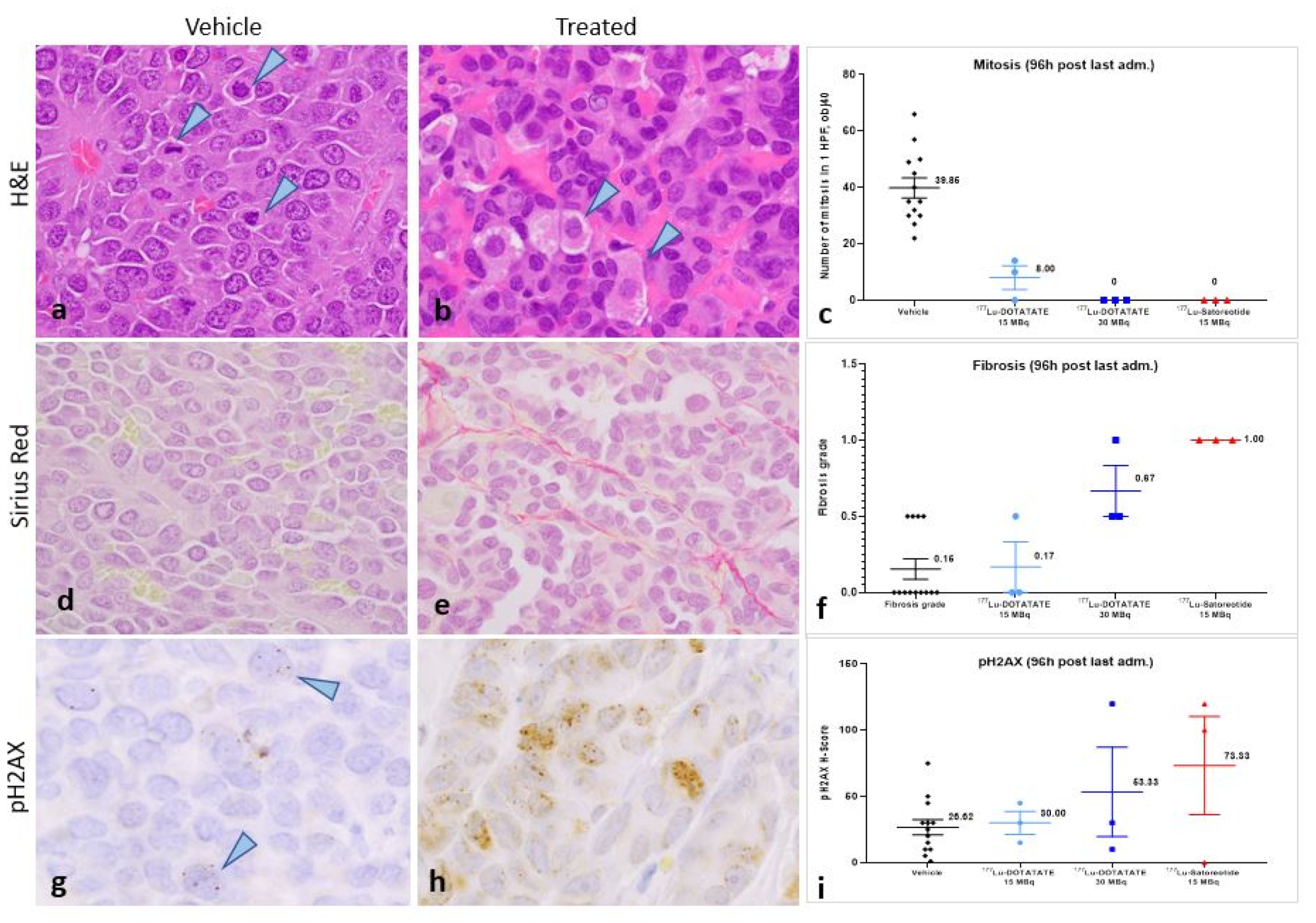 Pharmaceuticals 15 01085 g004