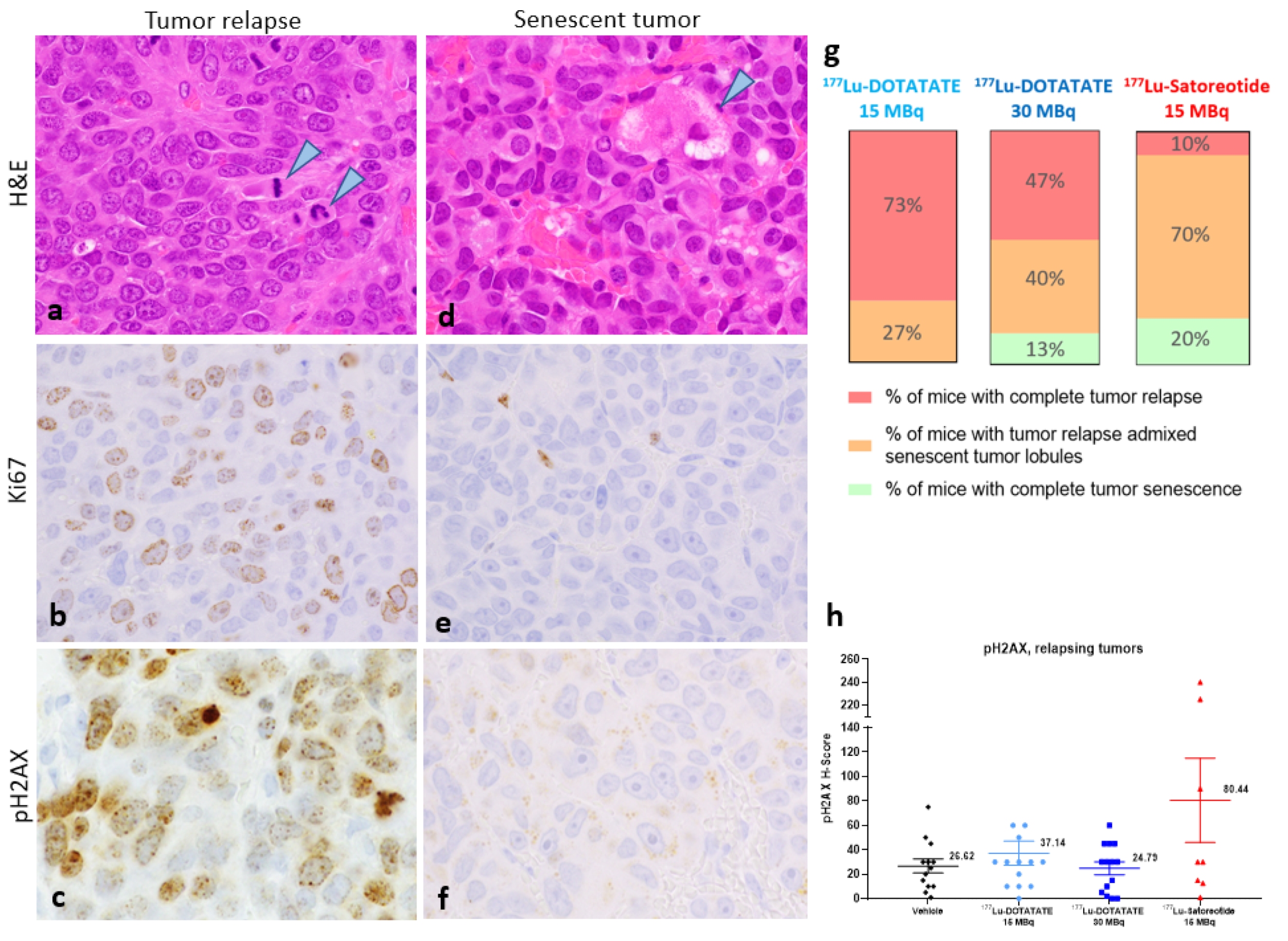 Pharmaceuticals 15 01085 g005