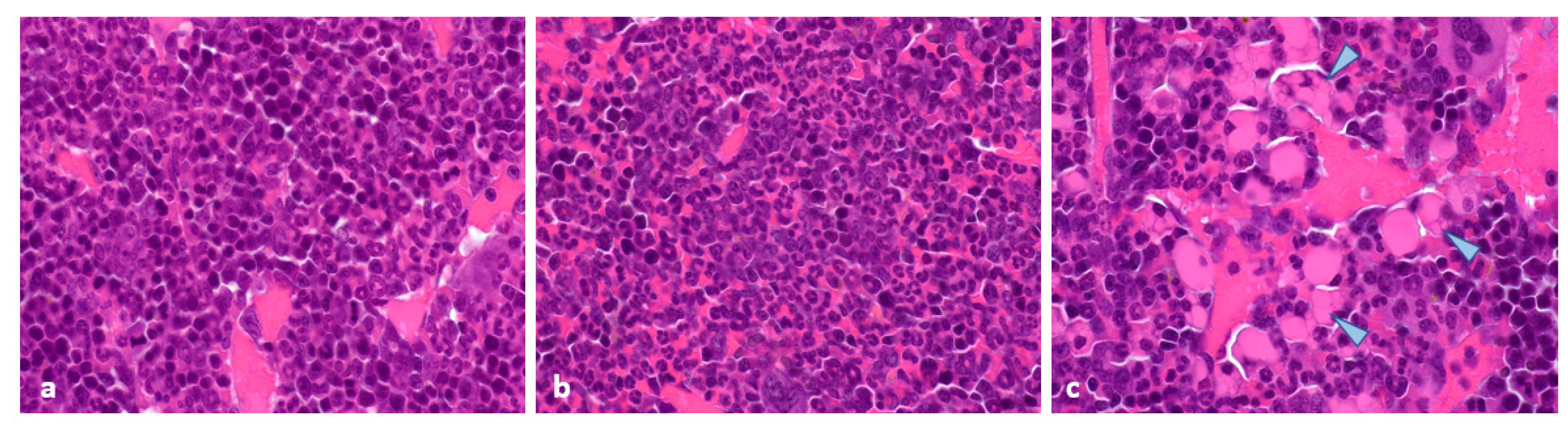 Pharmaceuticals 15 01085 g008