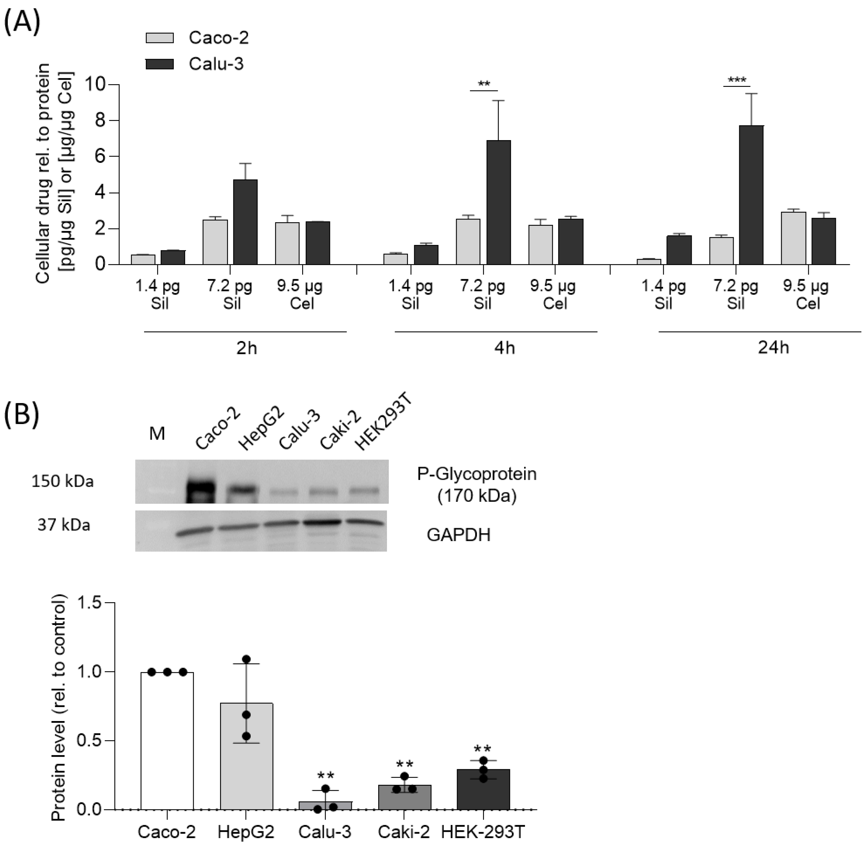 Pharmaceuticals 15 01086 g005