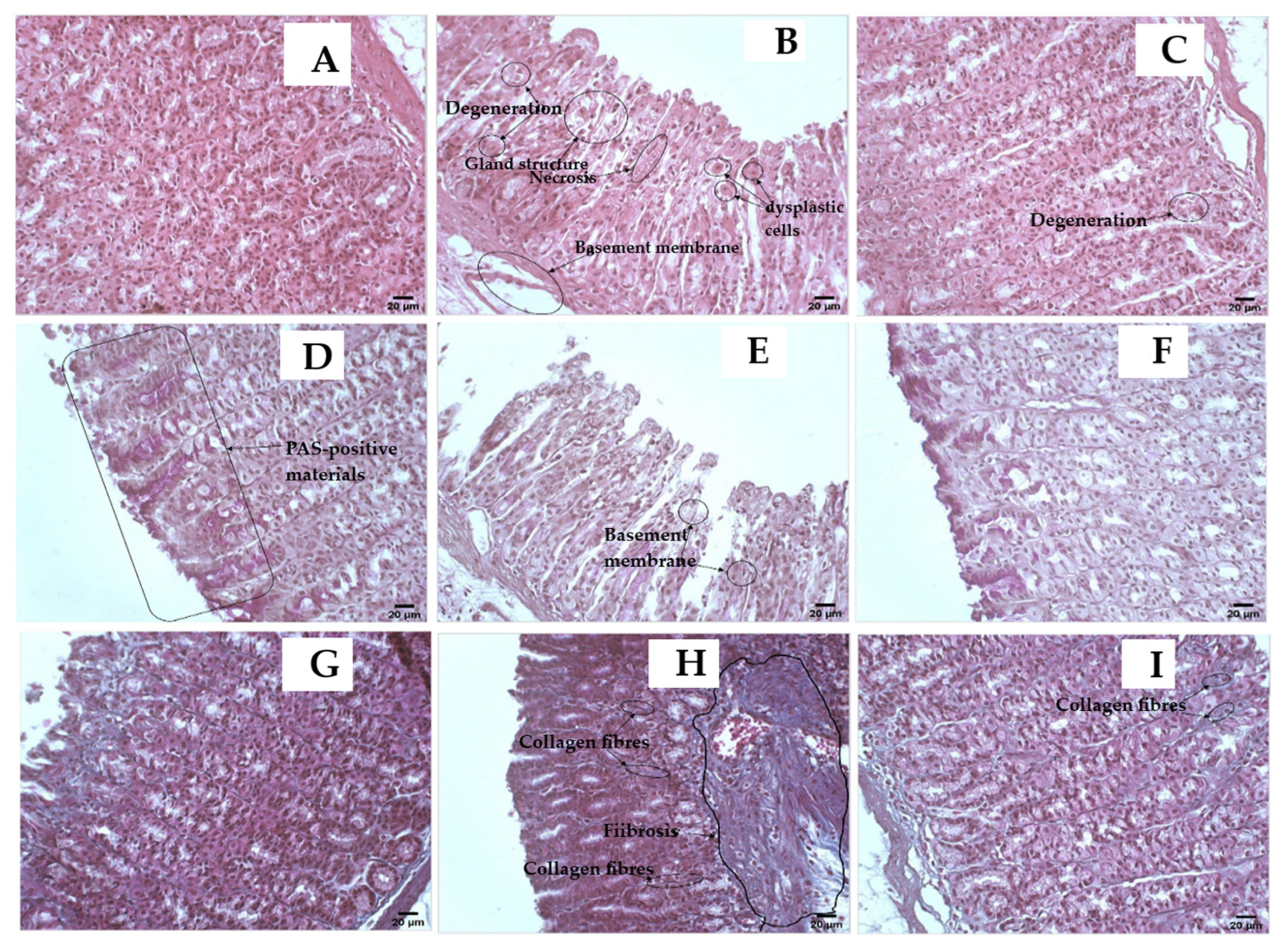 Pharmaceuticals 15 01089 g005