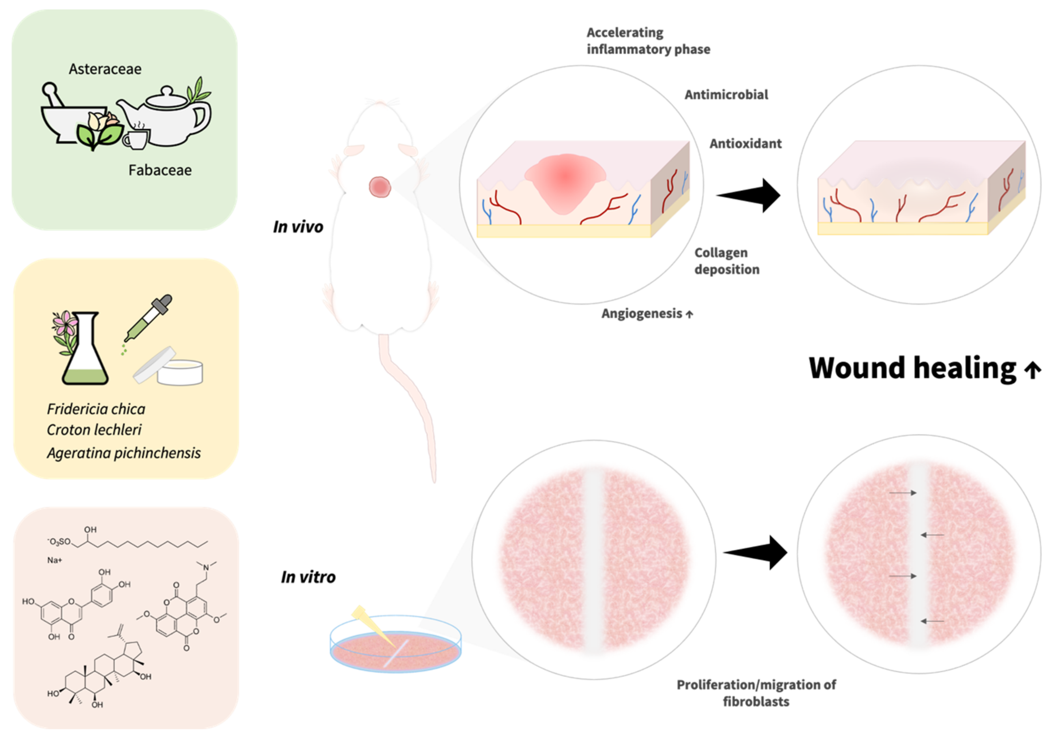 Pharmaceuticals 15 01095 g001